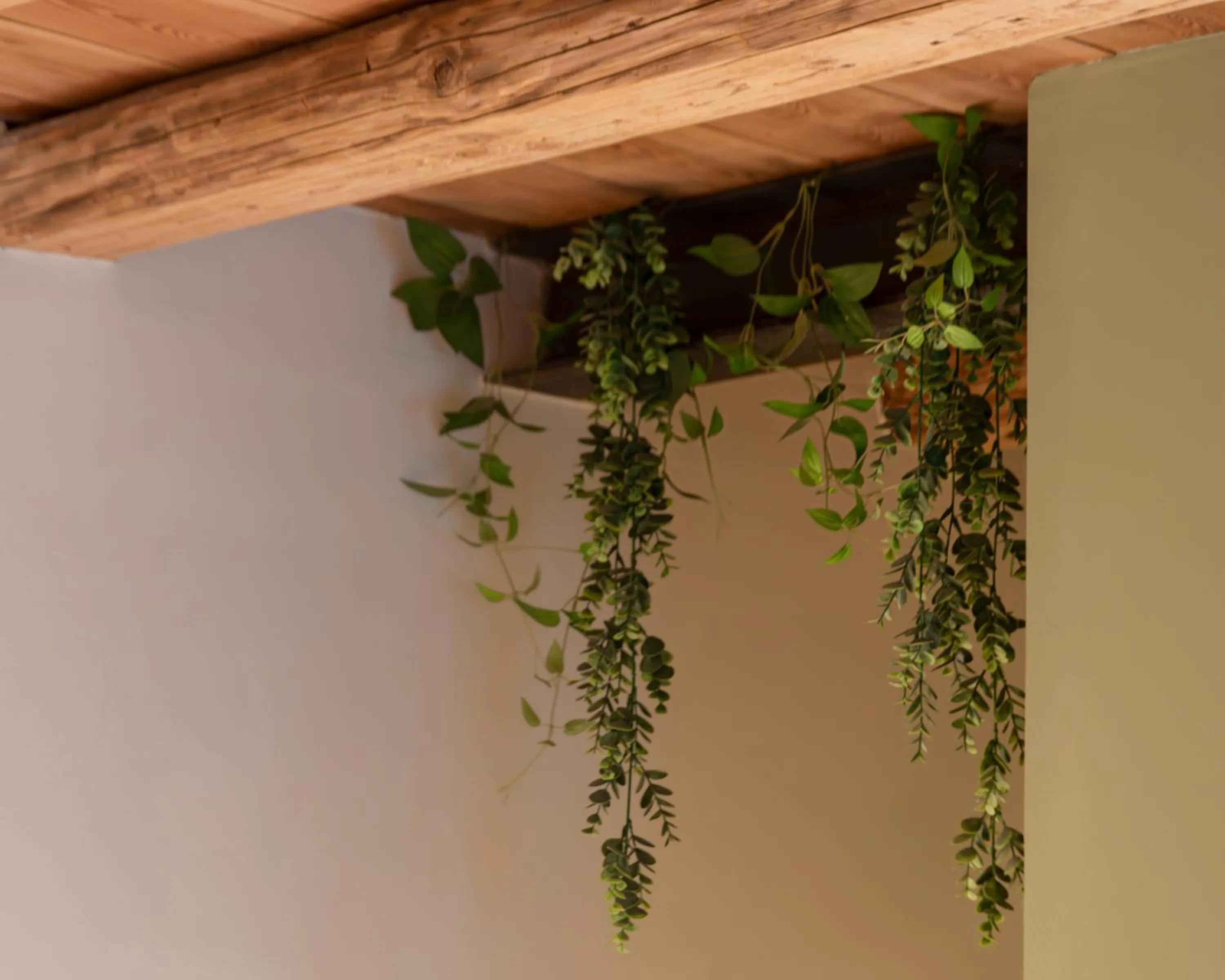 BACARìA BED&BREAKFAST