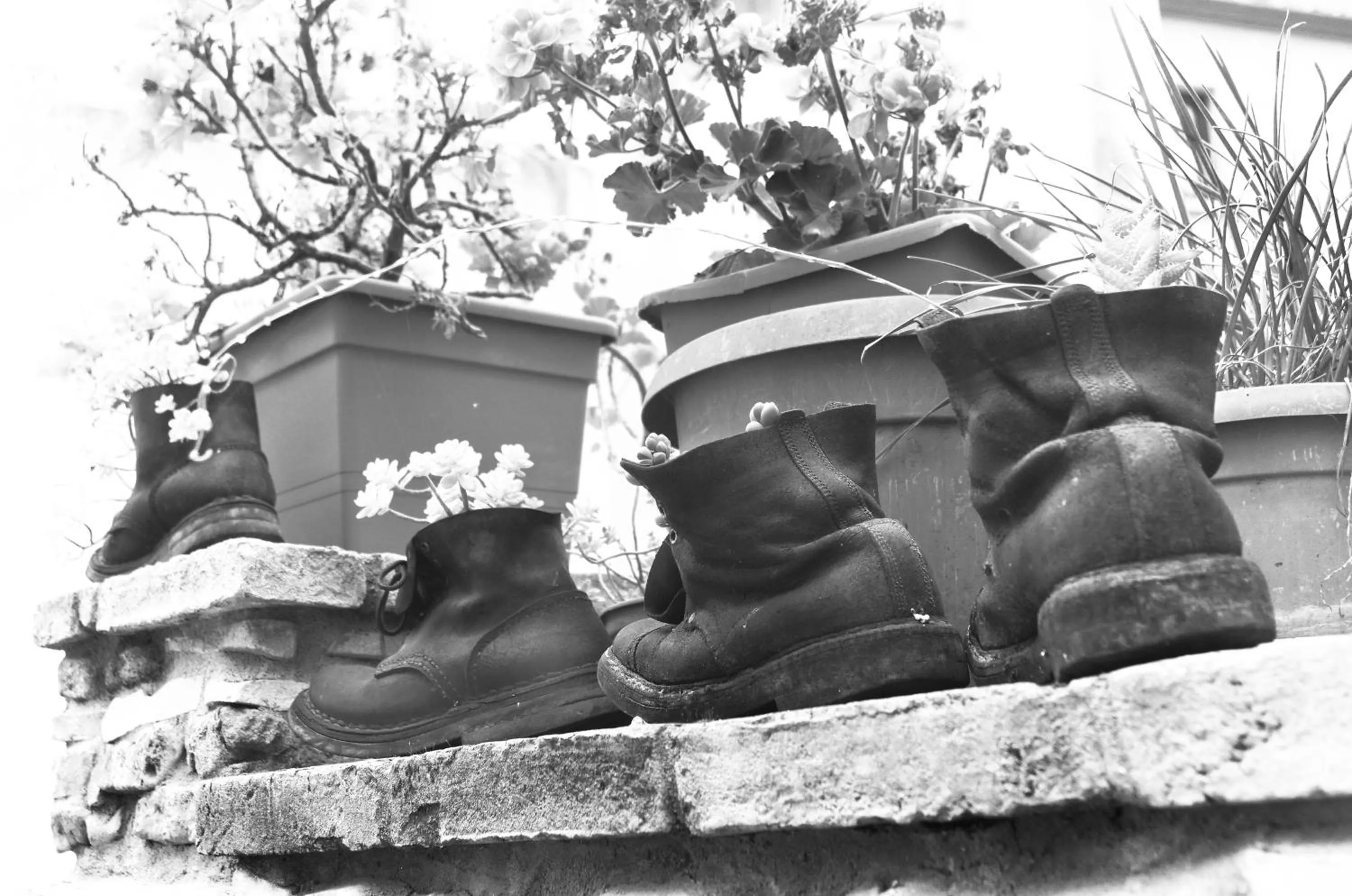 Winter in D¿jala - B&B de Charme