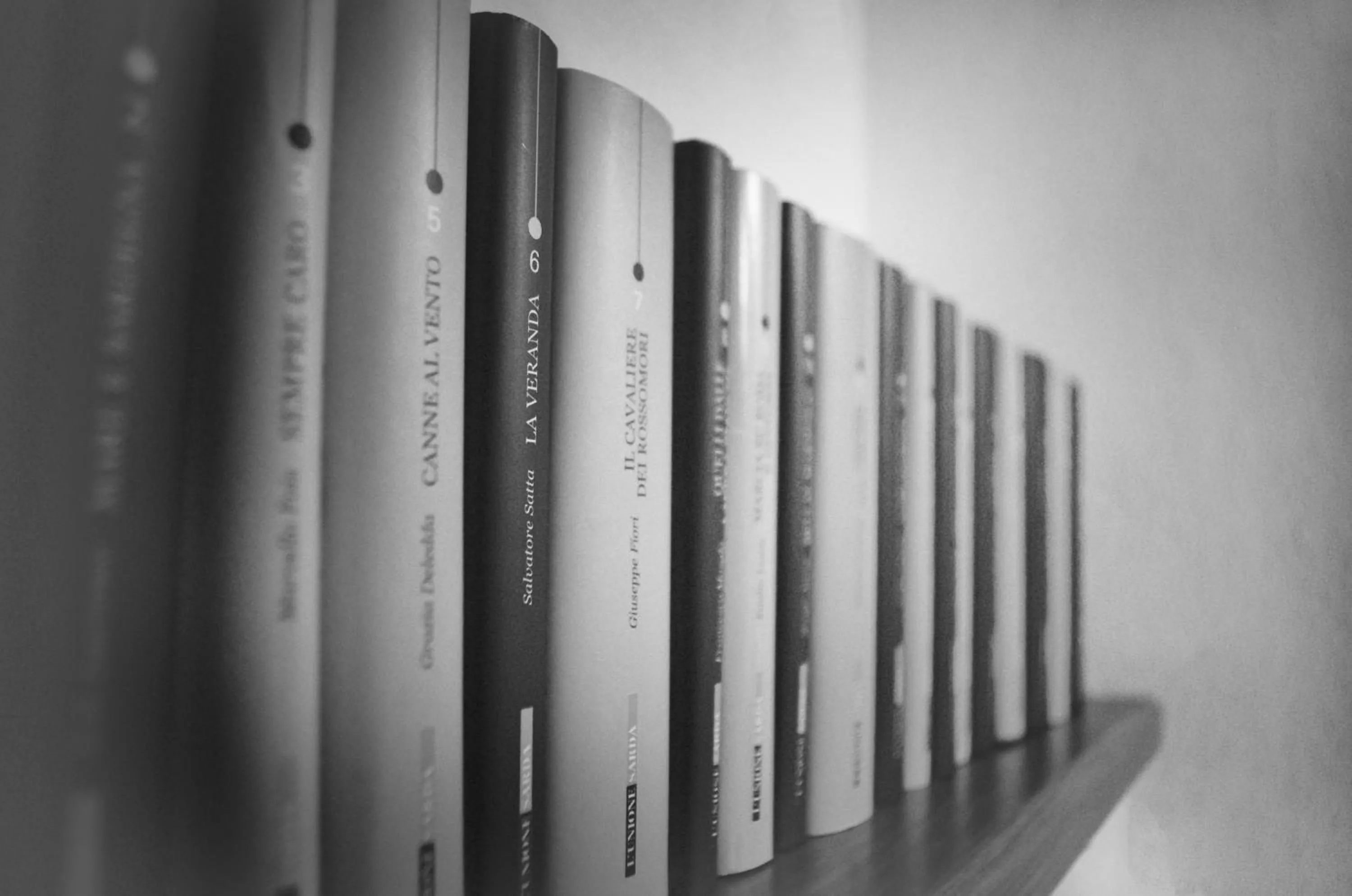 Library in D¿jala - B&B de Charme