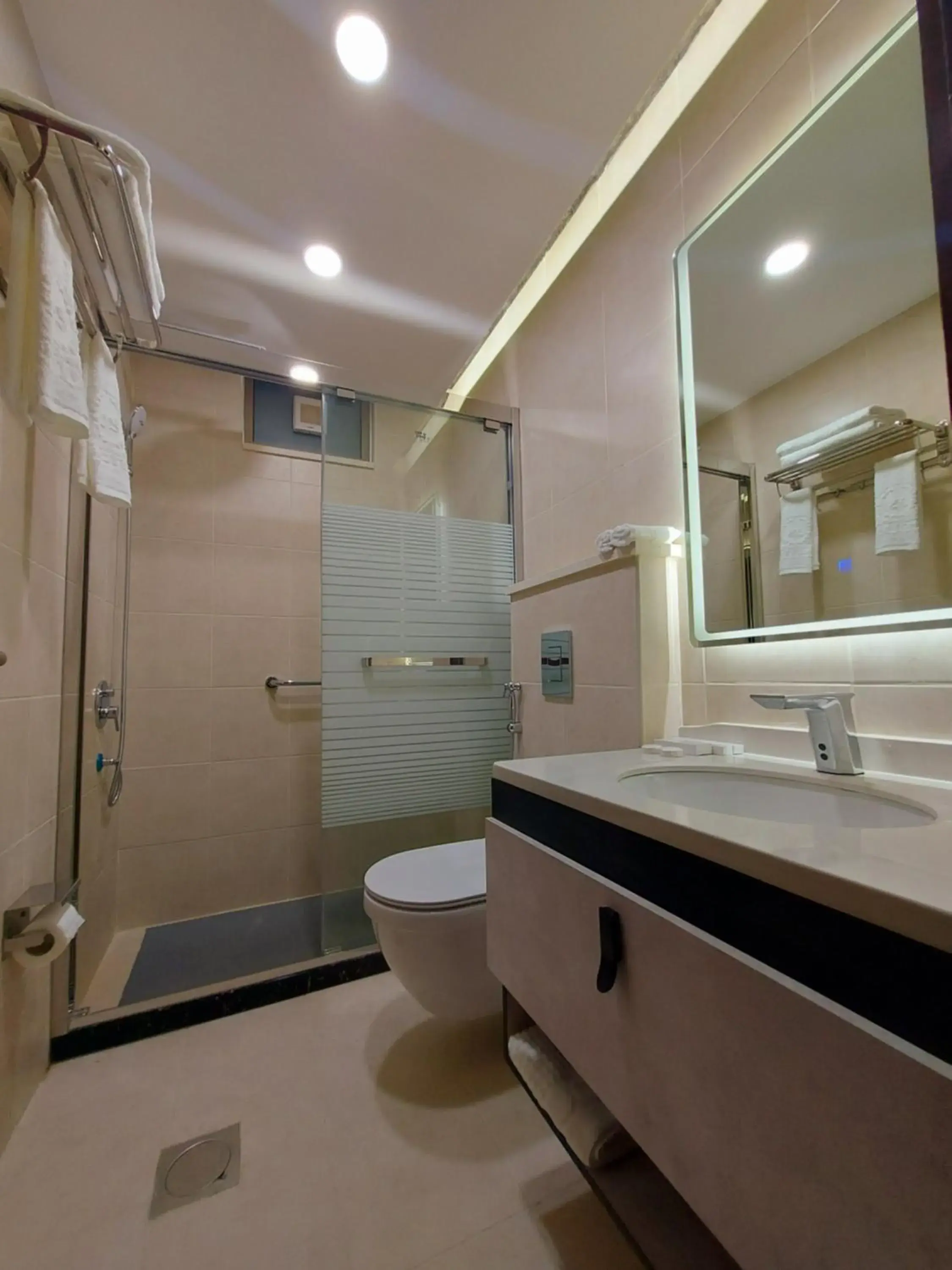 Bathroom in Jordan Seasons Hotel Bathroom in Jordan Seasons Hotel