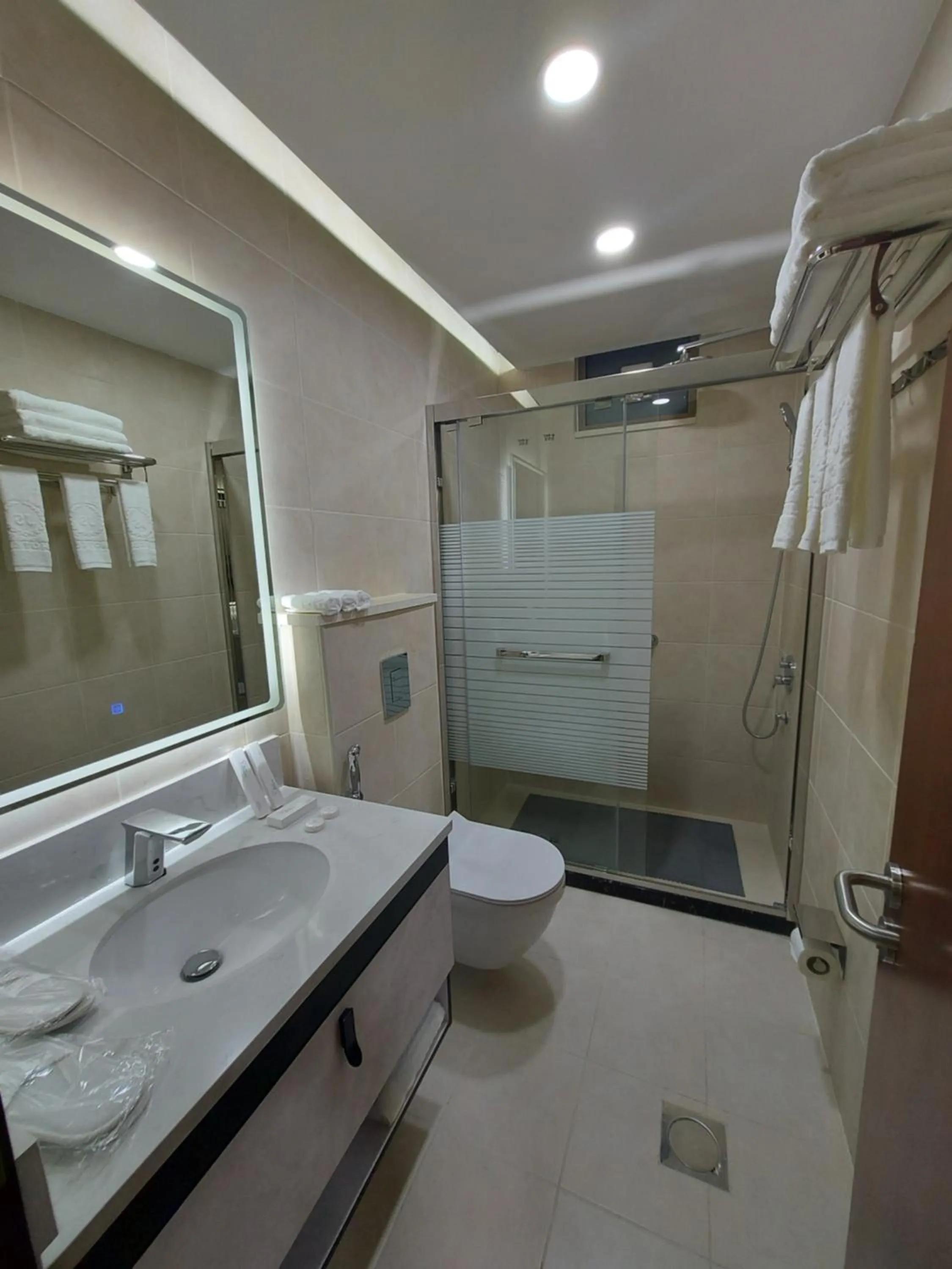 Shower in Jordan Seasons Hotel