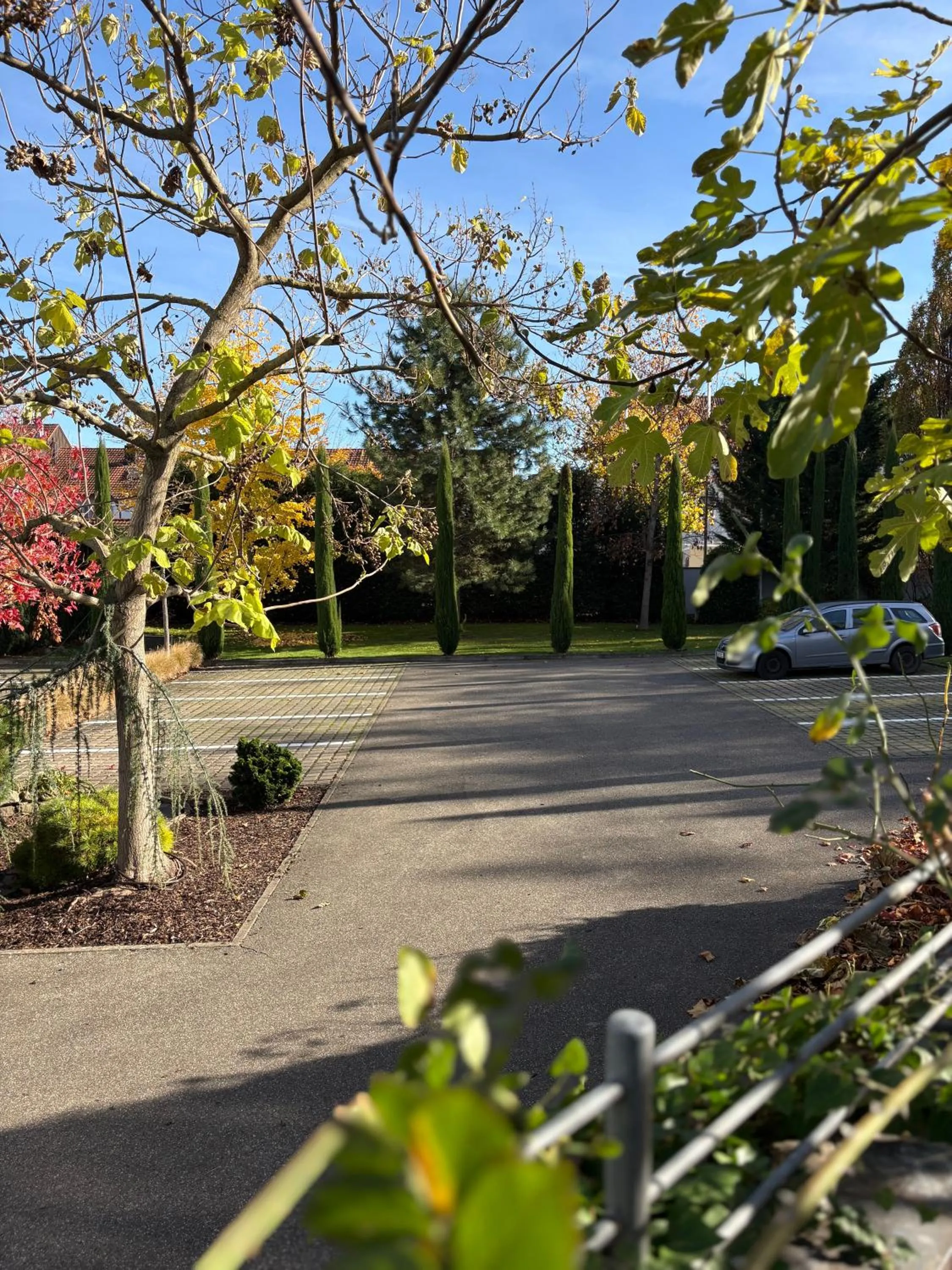 Kirchers Park & Wellnesshotel Kaiserstuhl