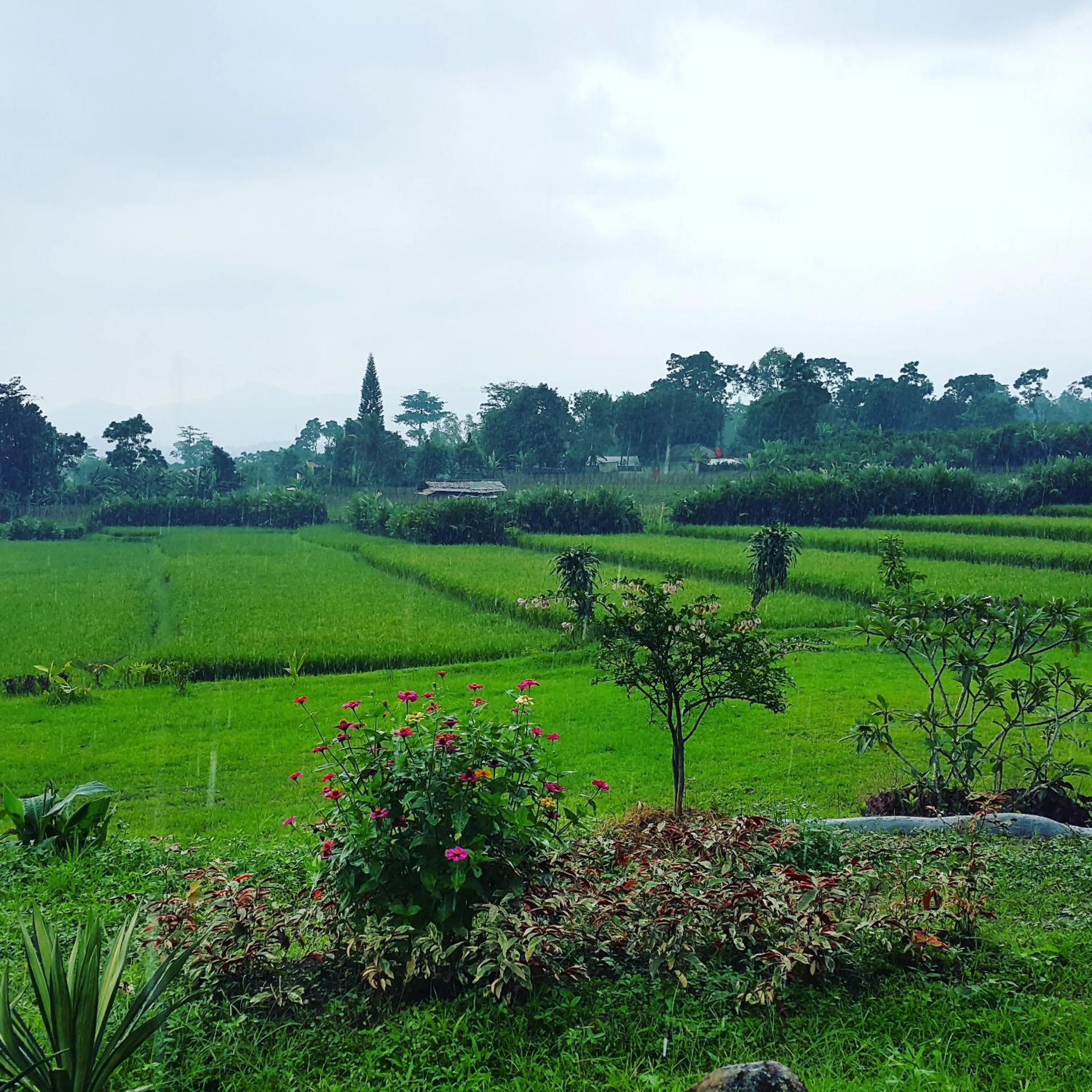 Day in Degung Hillside