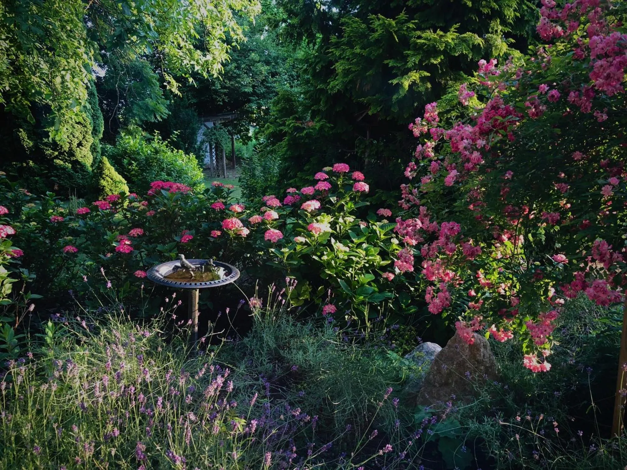 Garden in Landhaus zu Kürenberg