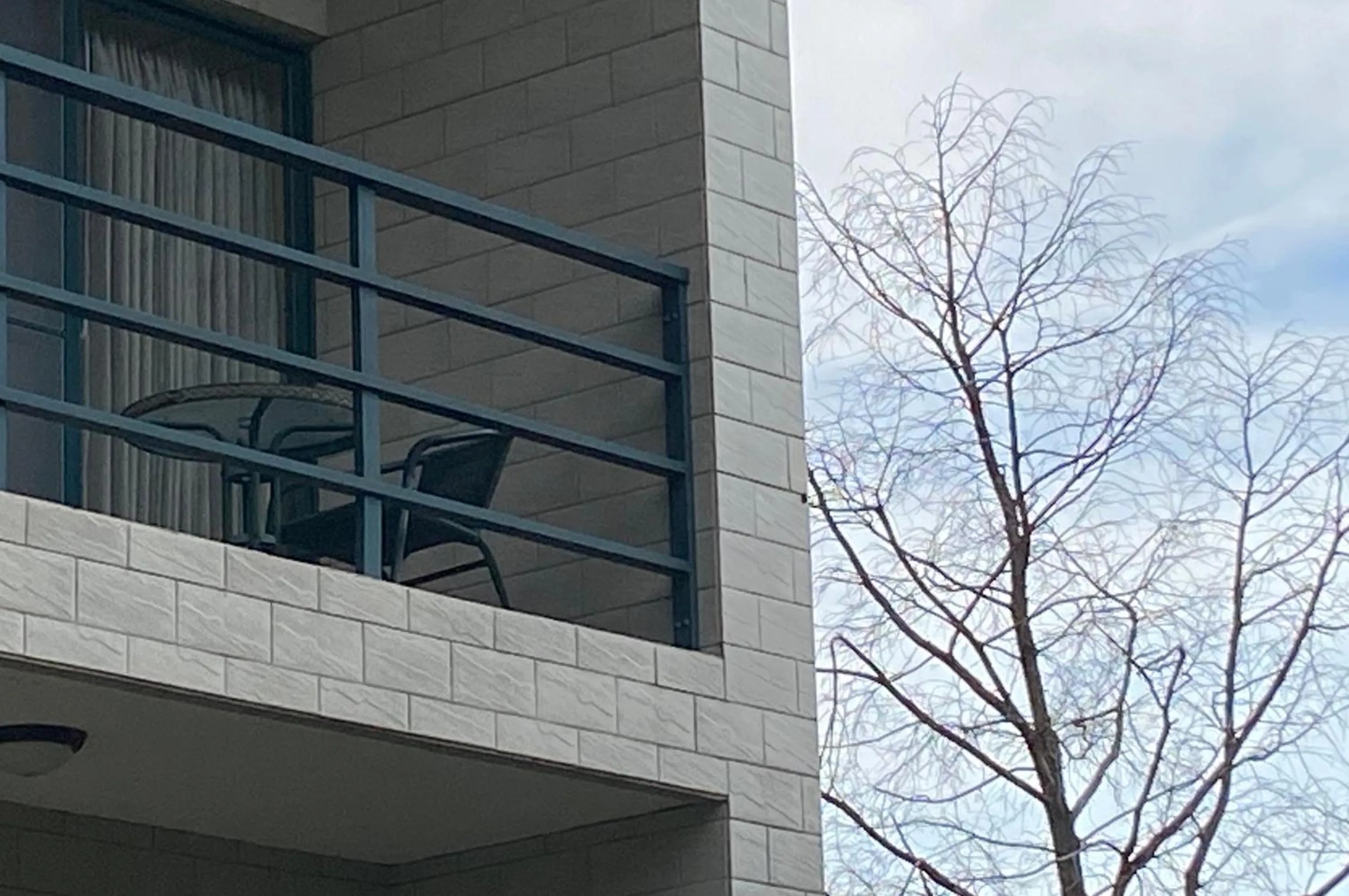 Garden view in Hinoki House