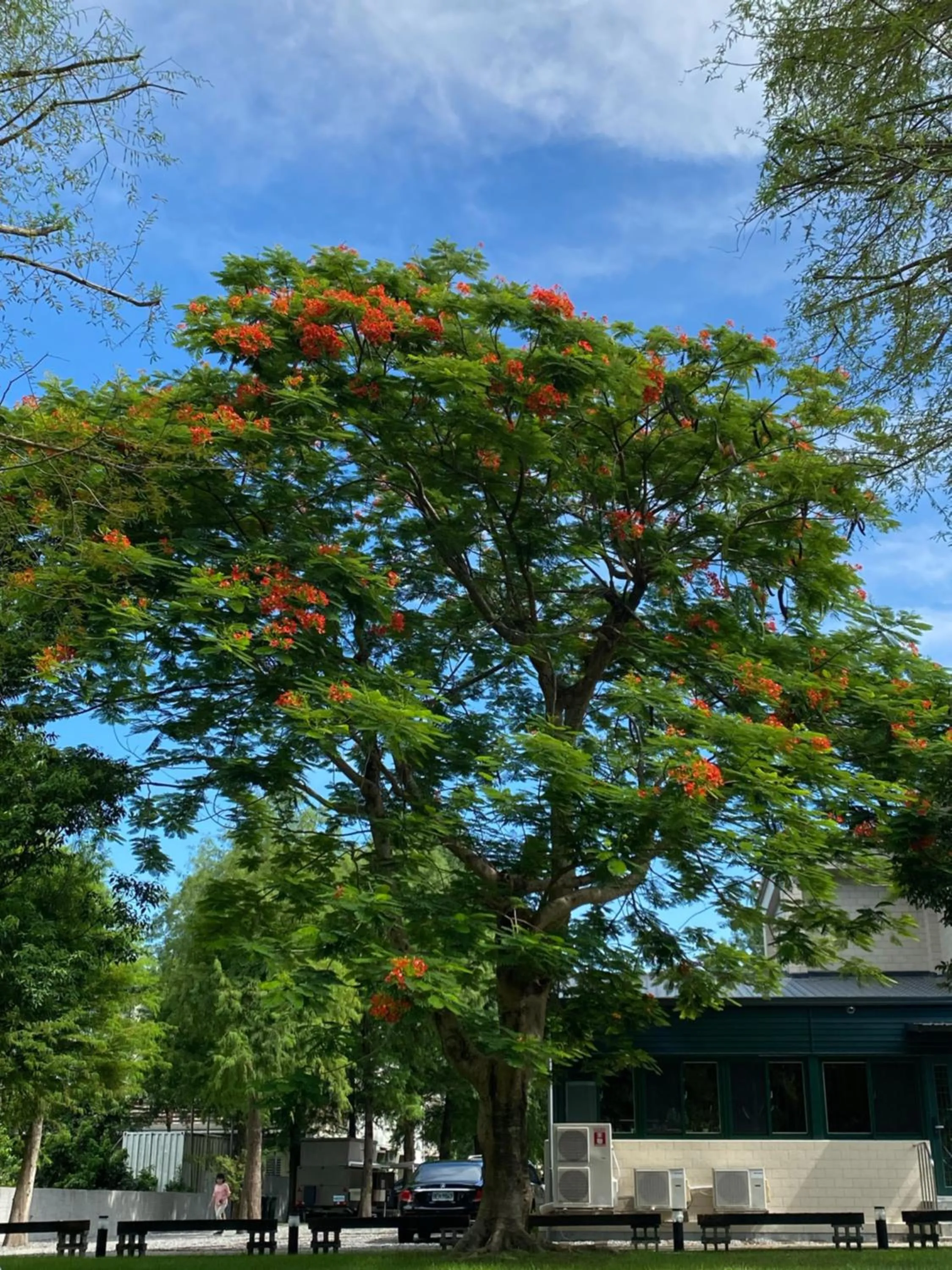 Garden view in Hinoki House