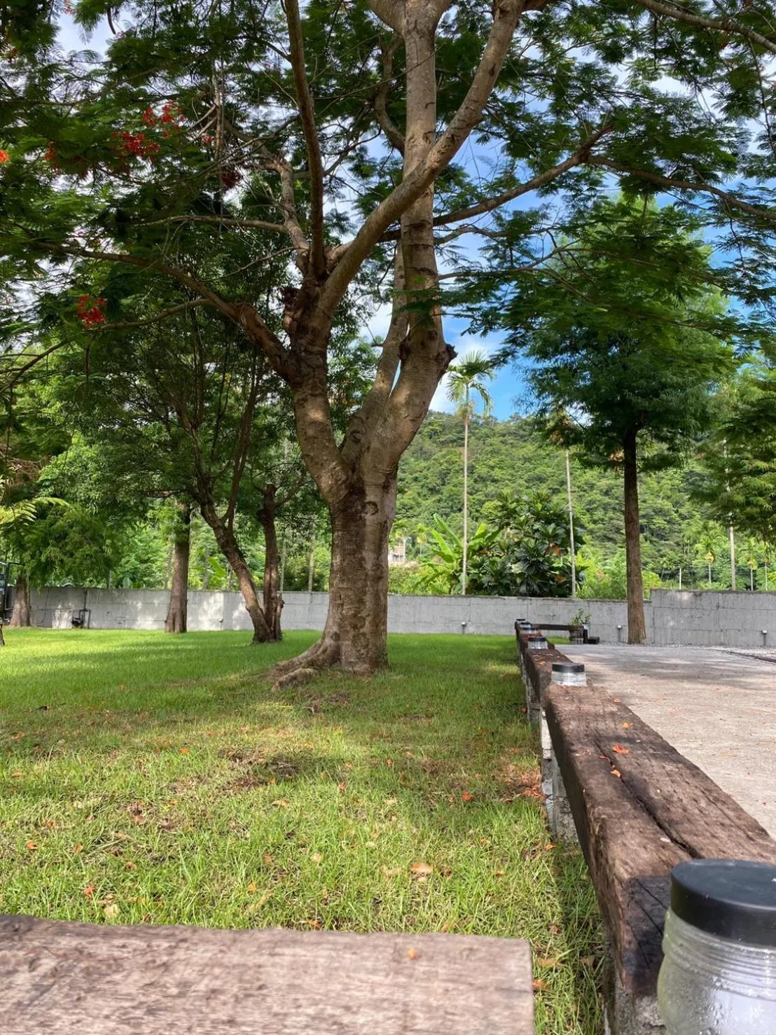 Garden view in Hinoki House