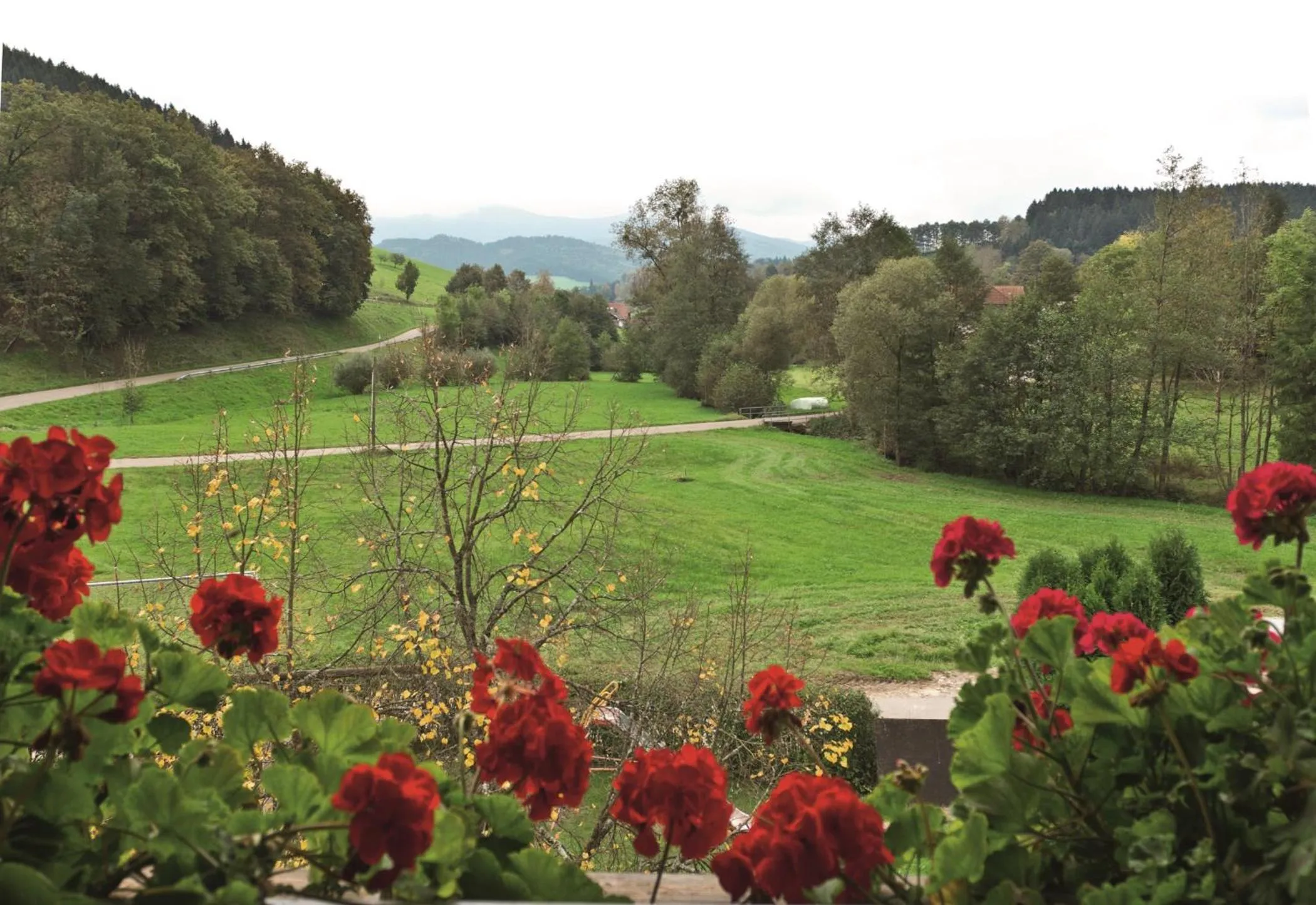 Natural landscape in Landgasthof Adler Pelzmühle