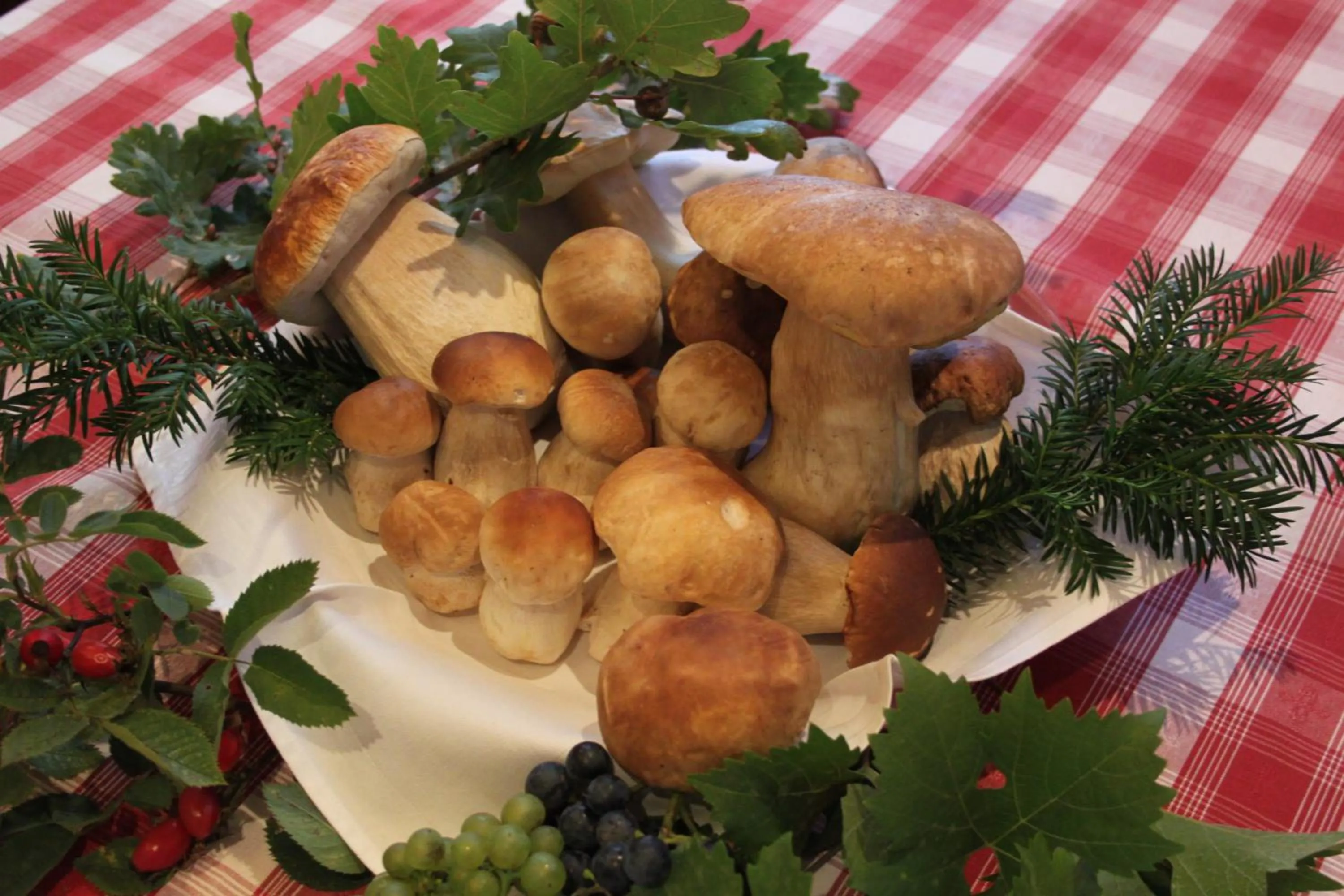Food close-up in Hotel-Gasthof Die Post Brennerei Frankenhöhe