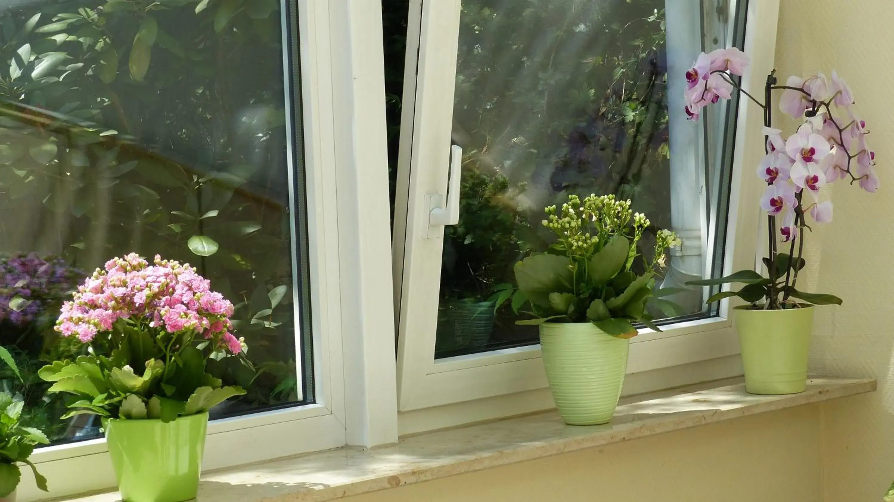 Buffet breakfast in Central Hotel Eschborn Buffet breakfast in Central Hotel Eschborn