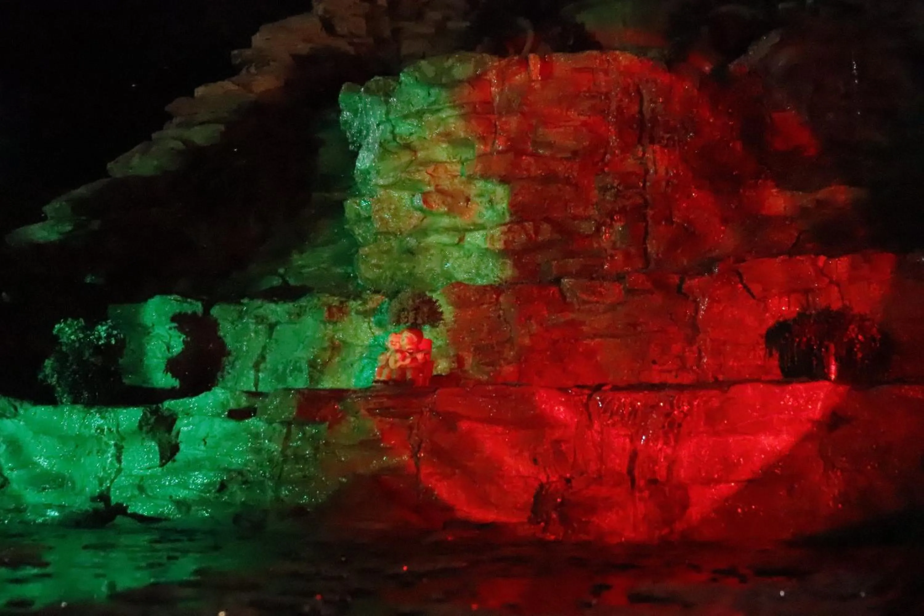 Garden in Hostal Restaurante Benalup Golf