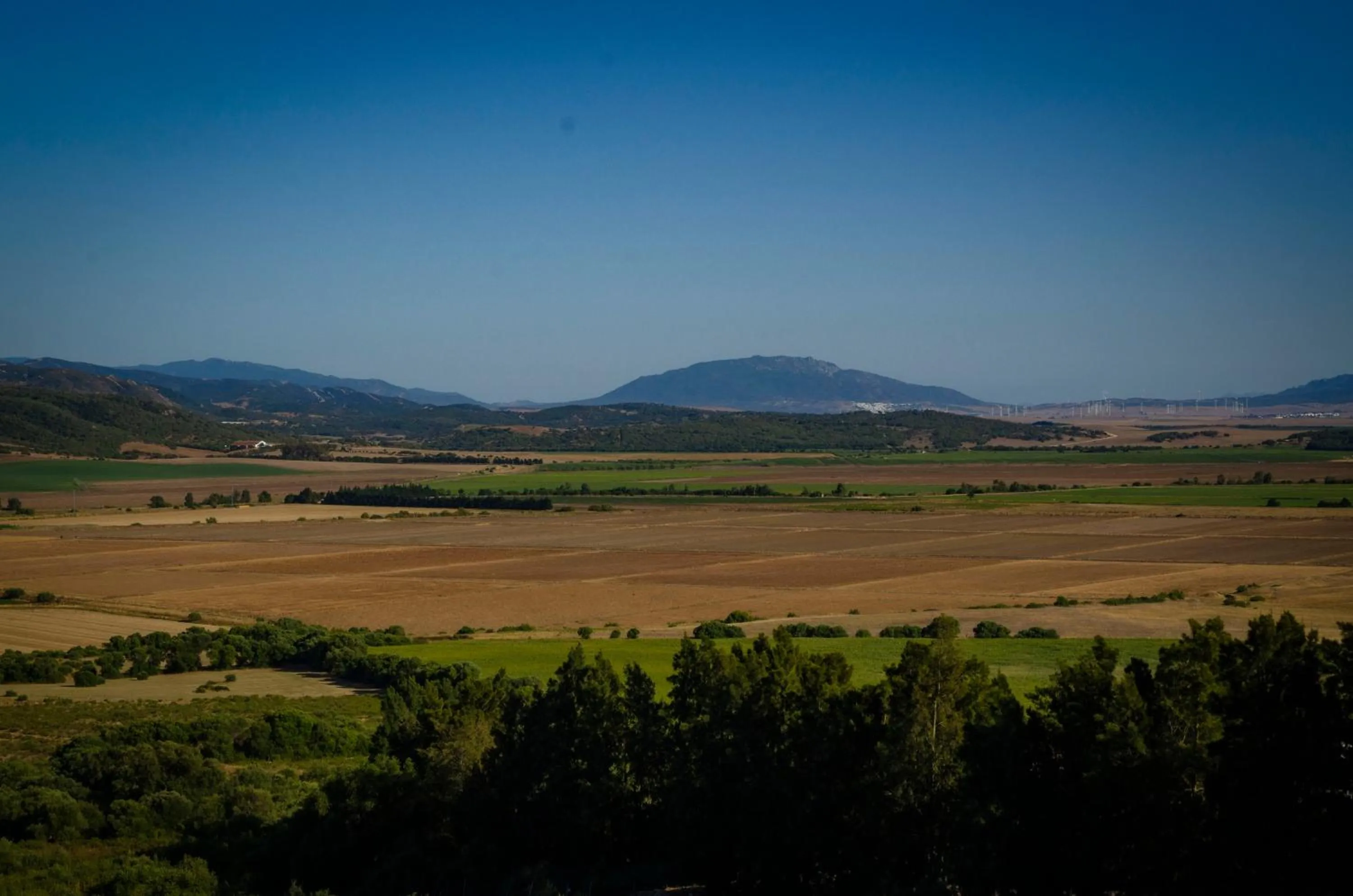 Natural landscape in Hostal Restaurante Benalup Golf