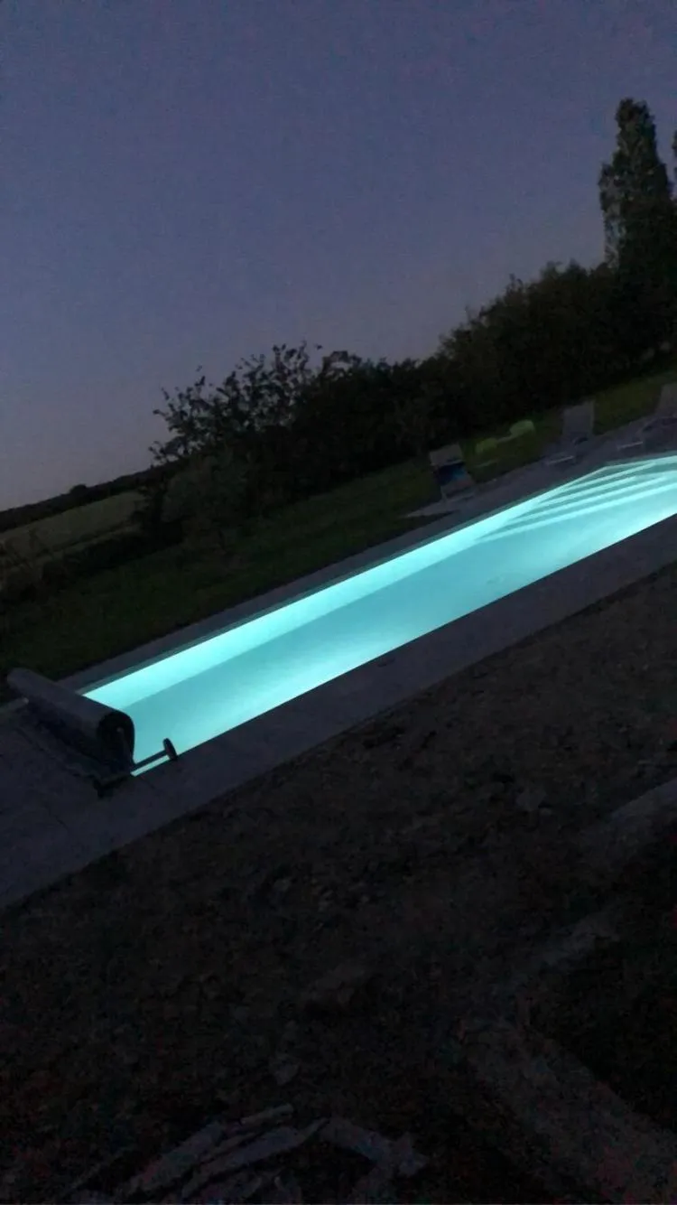 Swimming pool in LA GRANDE THIBAUDIERE