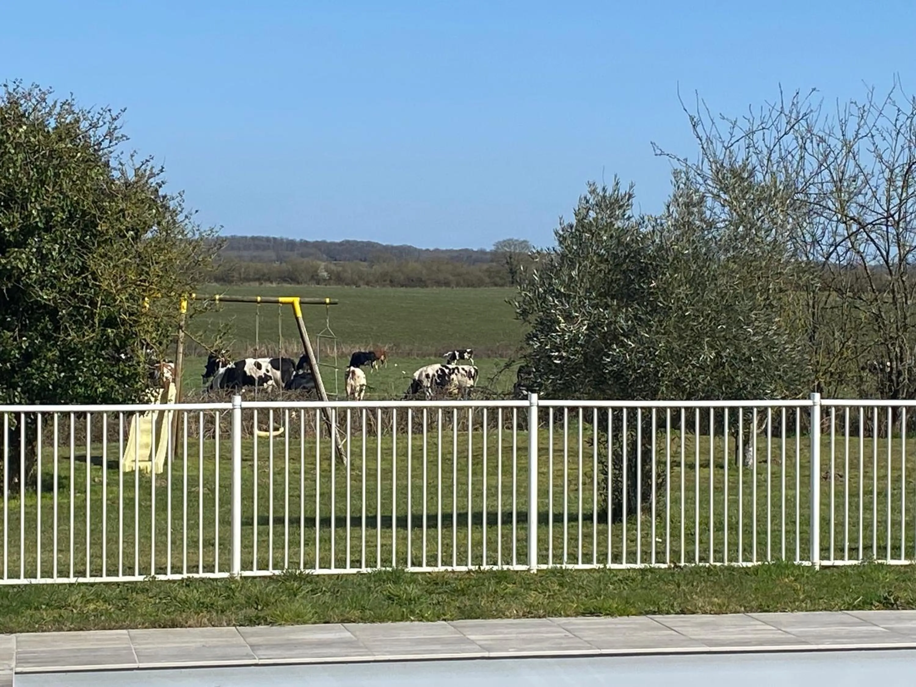 Natural landscape in LA GRANDE THIBAUDIERE