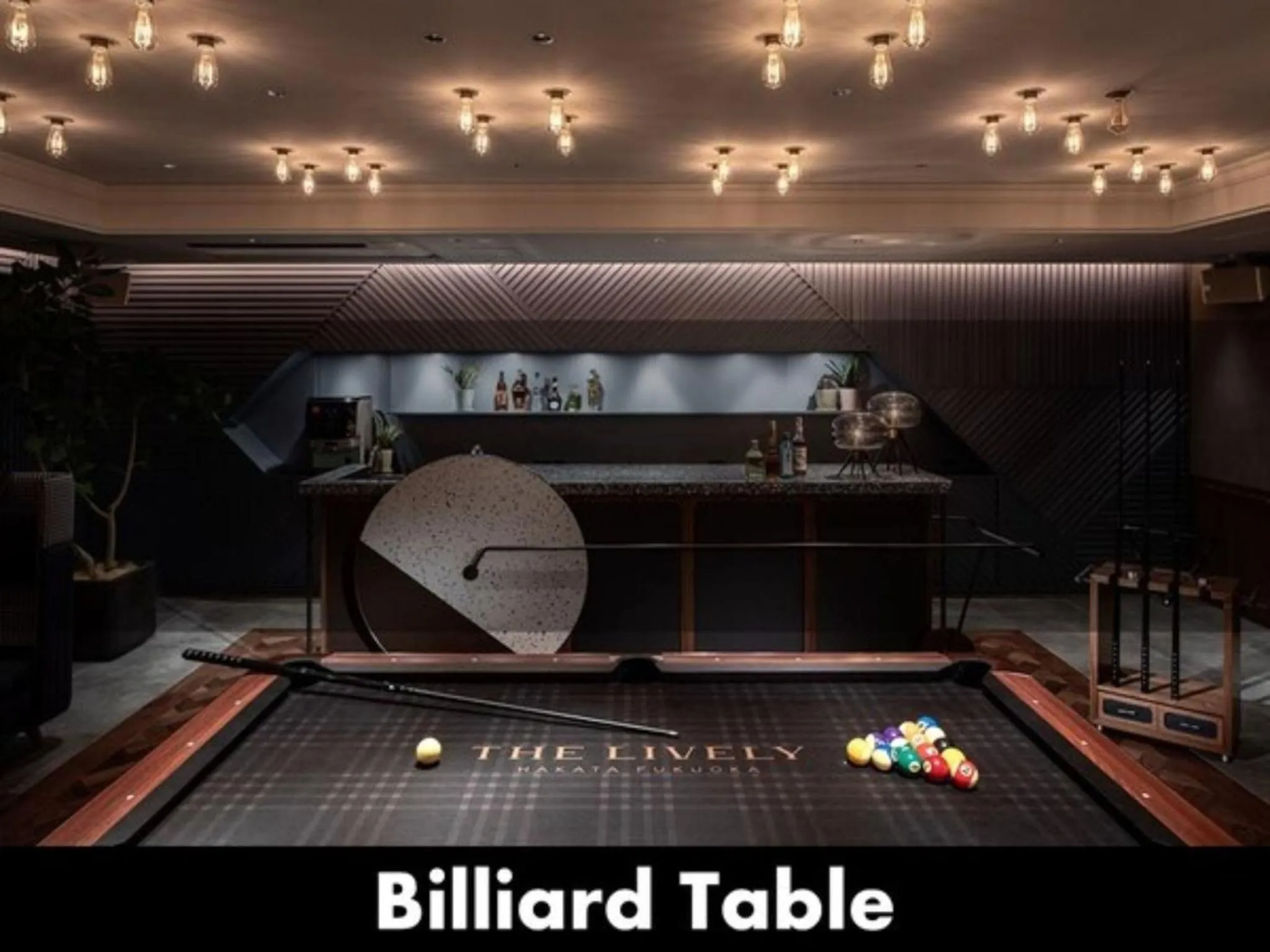 THE LIVELY HAKATA FUKUOKA - Vacation STAY 82643