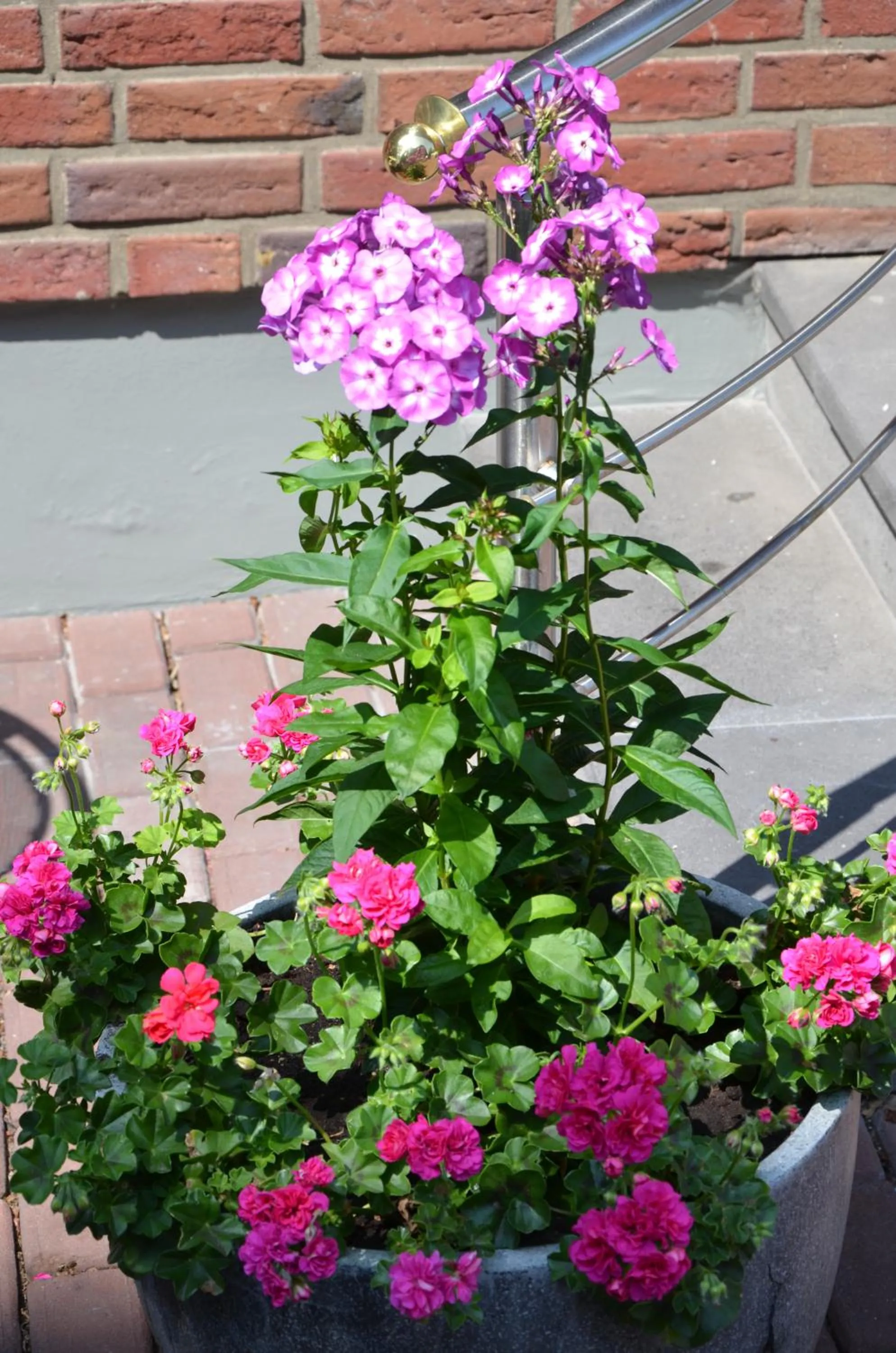 Spring in Hotel Josten