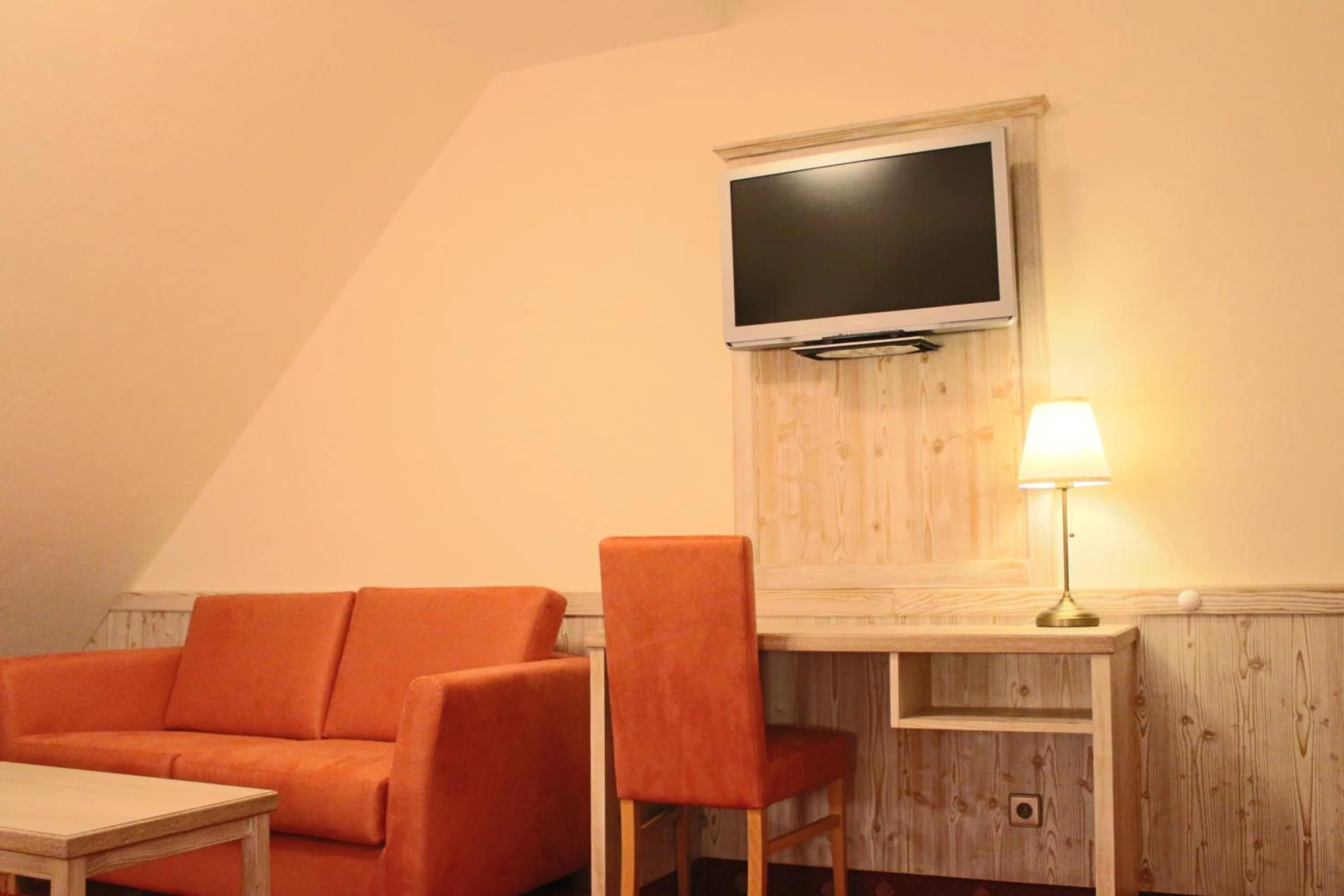 TV and multimedia in Central-Hotel