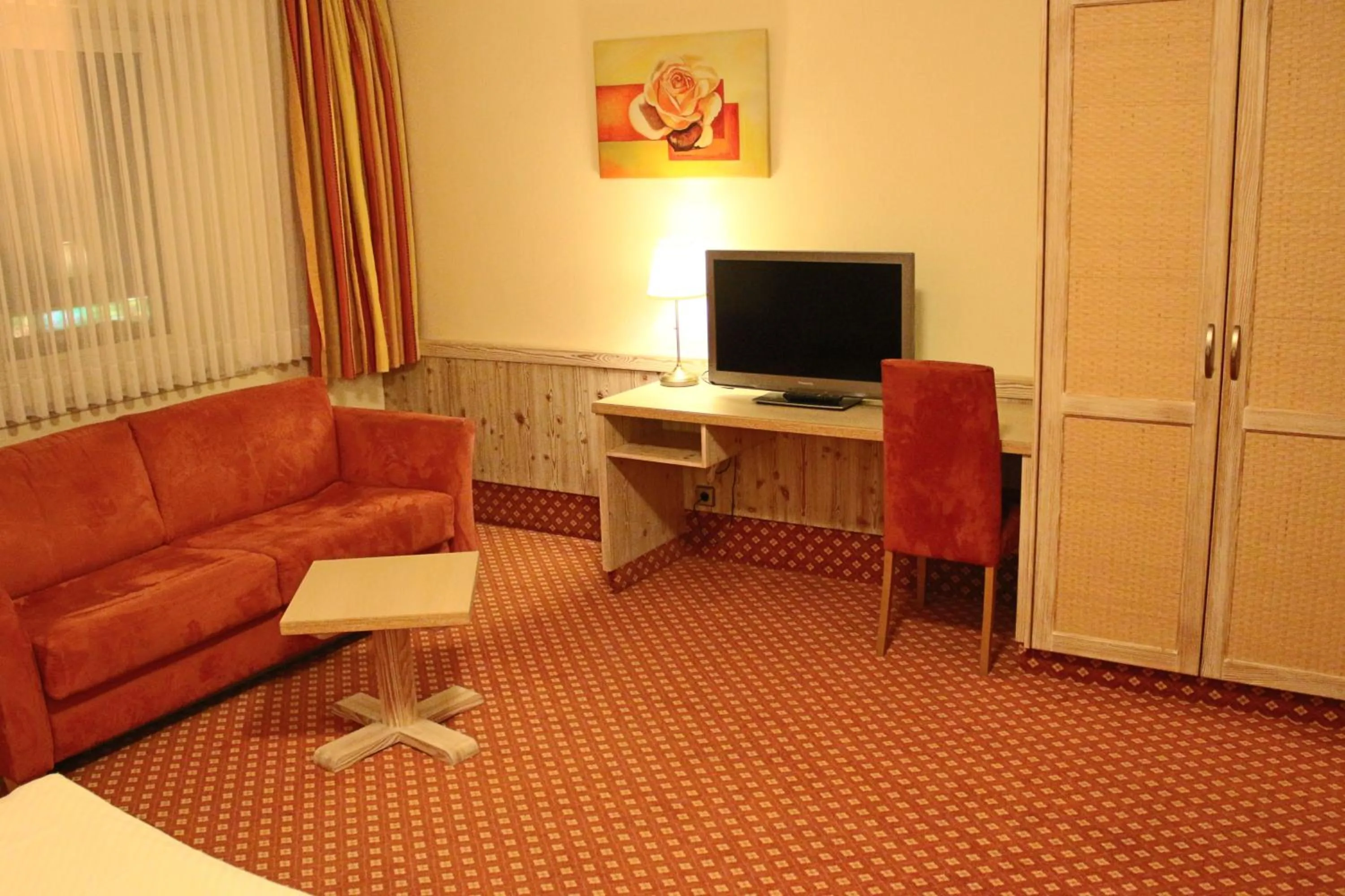 TV and multimedia in Central-Hotel