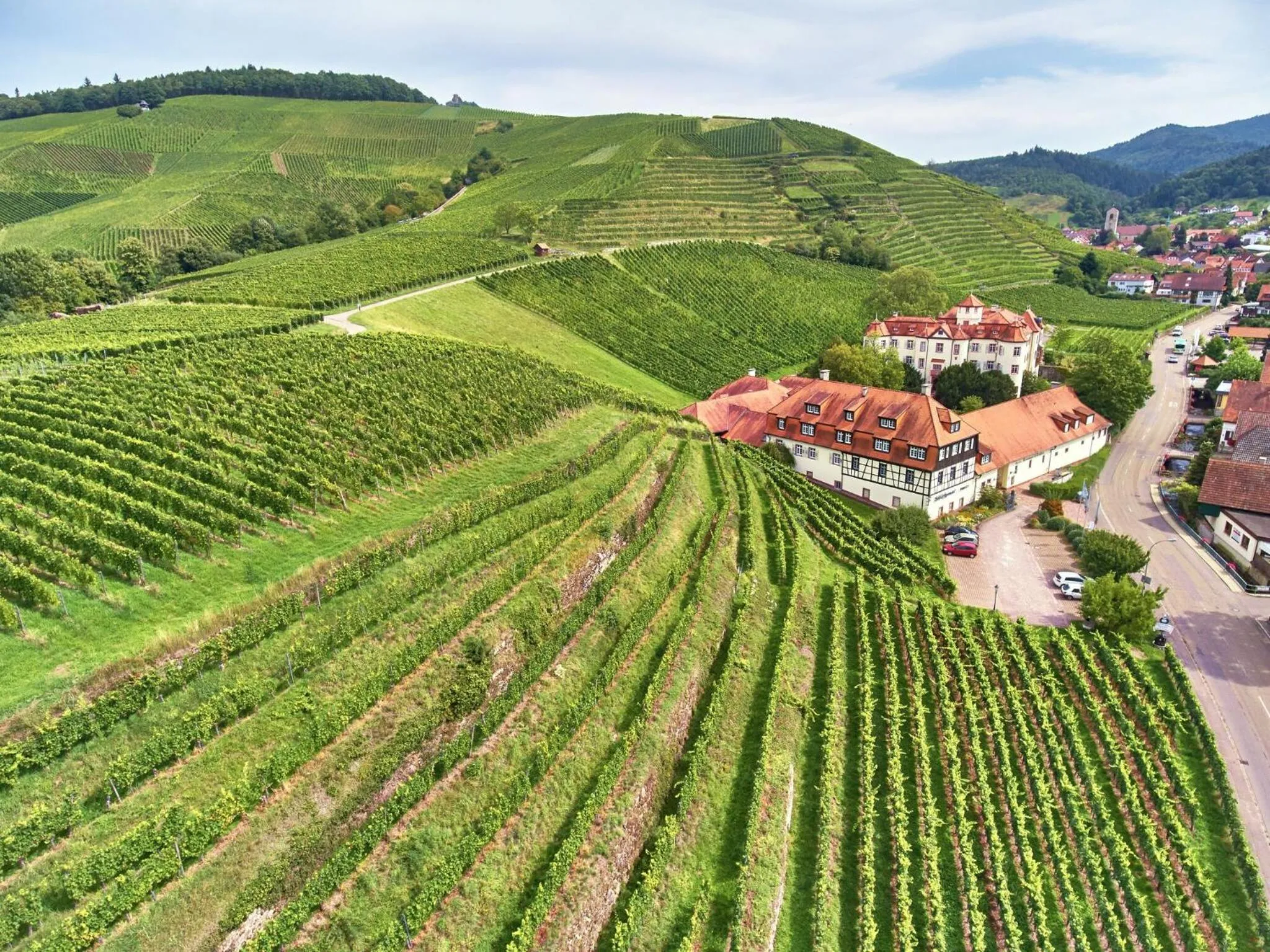 Nearby landmark in Hotel Residenz im Schloss Neuweier