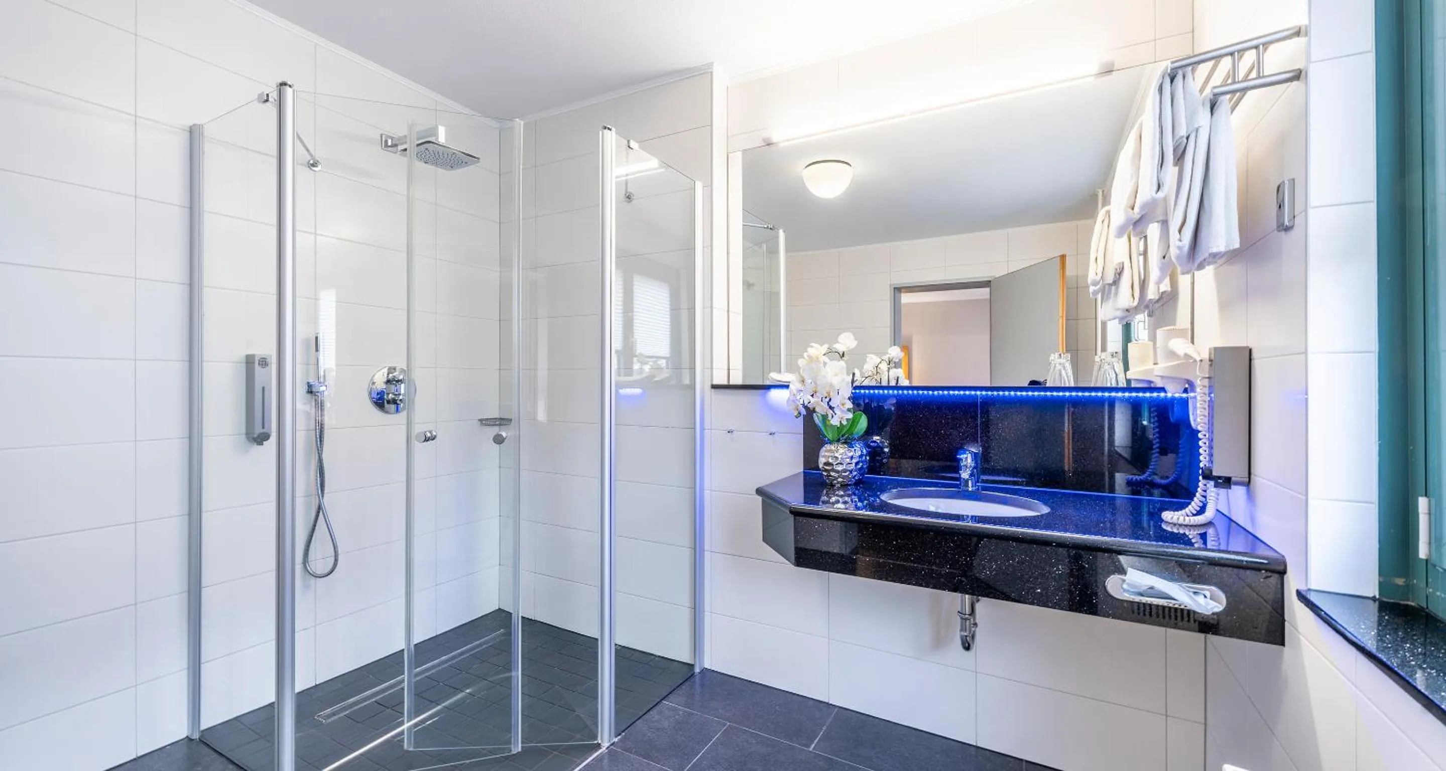 Shower in PLAZA INN Braunschweig City Süd