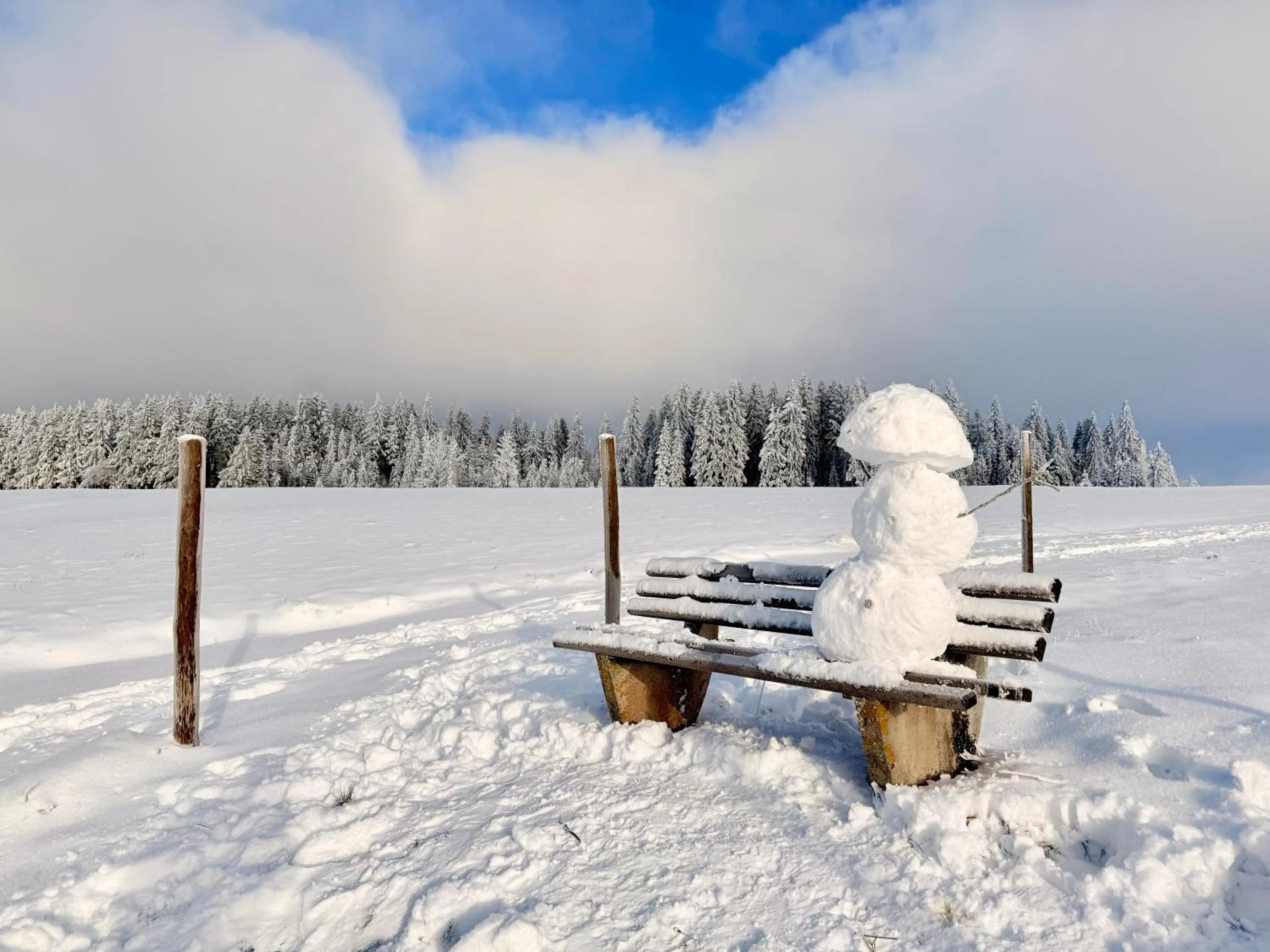 Day in Haus Rosenbaum am Rennsteig Gruppenhaus - Pension - Begegnungsstätte bis 50 Personen