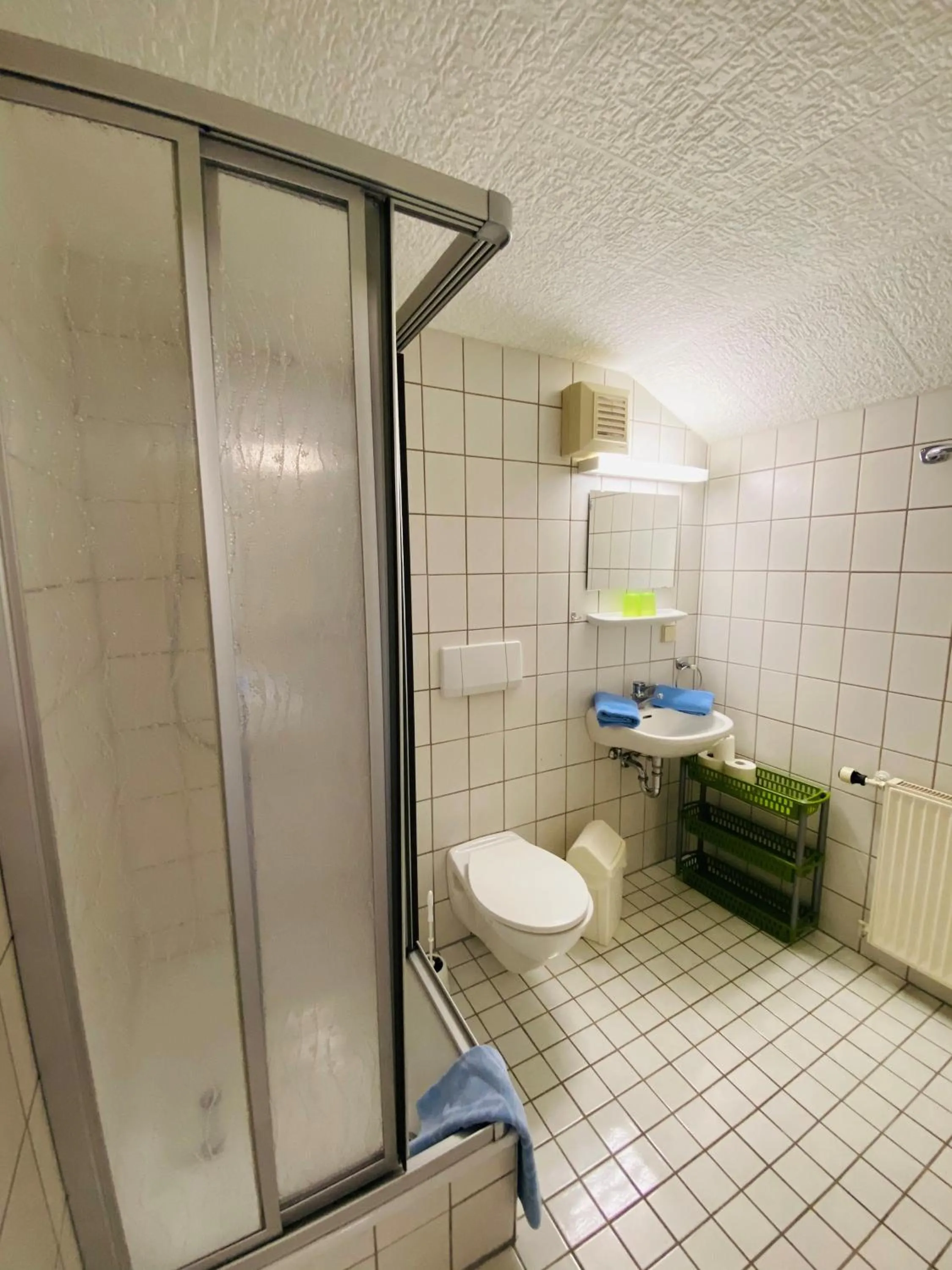 Bathroom in Haus Rosenbaum am Rennsteig Gruppenhaus - Pension - Begegnungsstätte bis 50 Personen