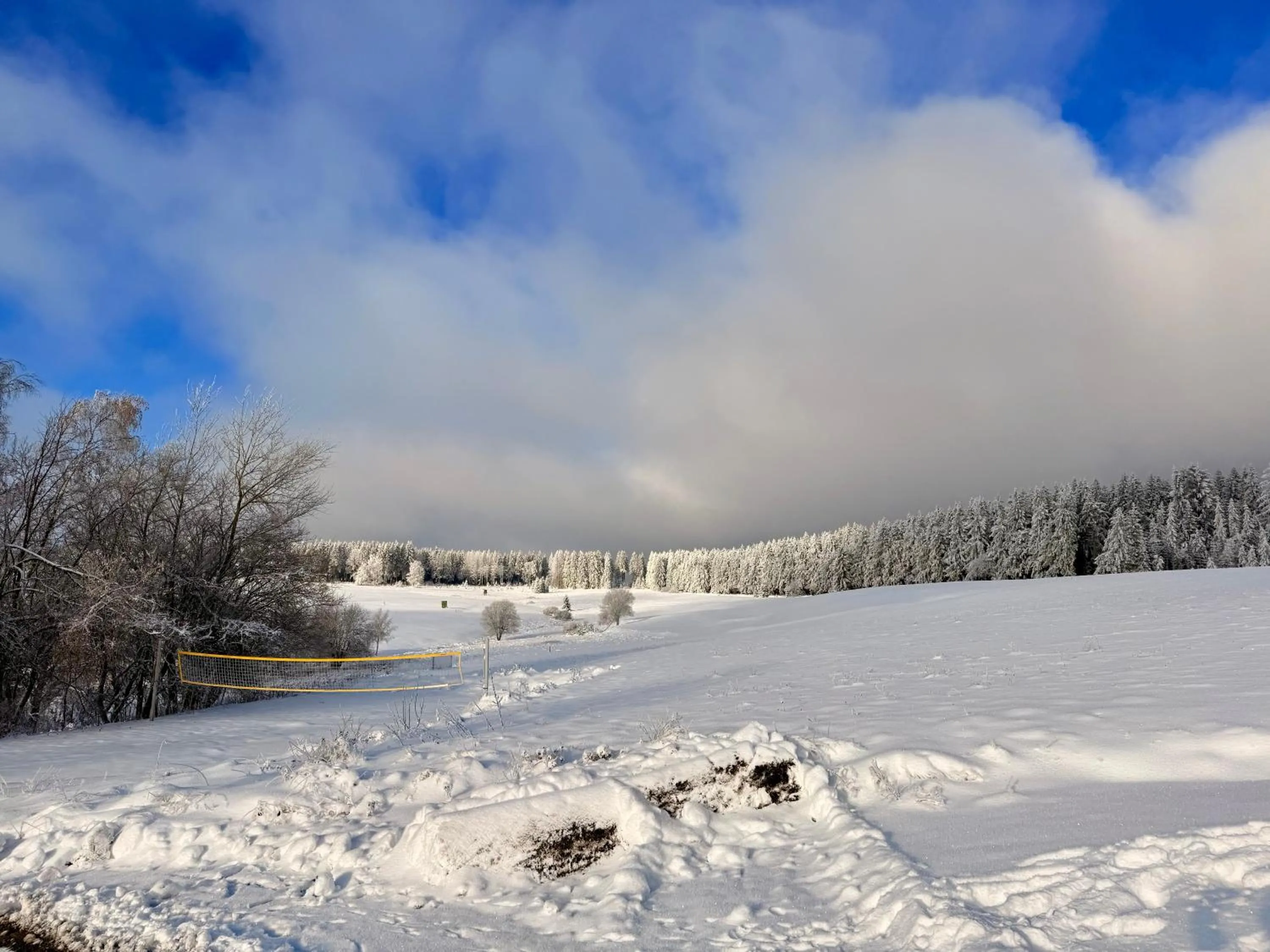 Day in Haus Rosenbaum am Rennsteig Gruppenhaus - Pension - Begegnungsstätte bis 50 Personen