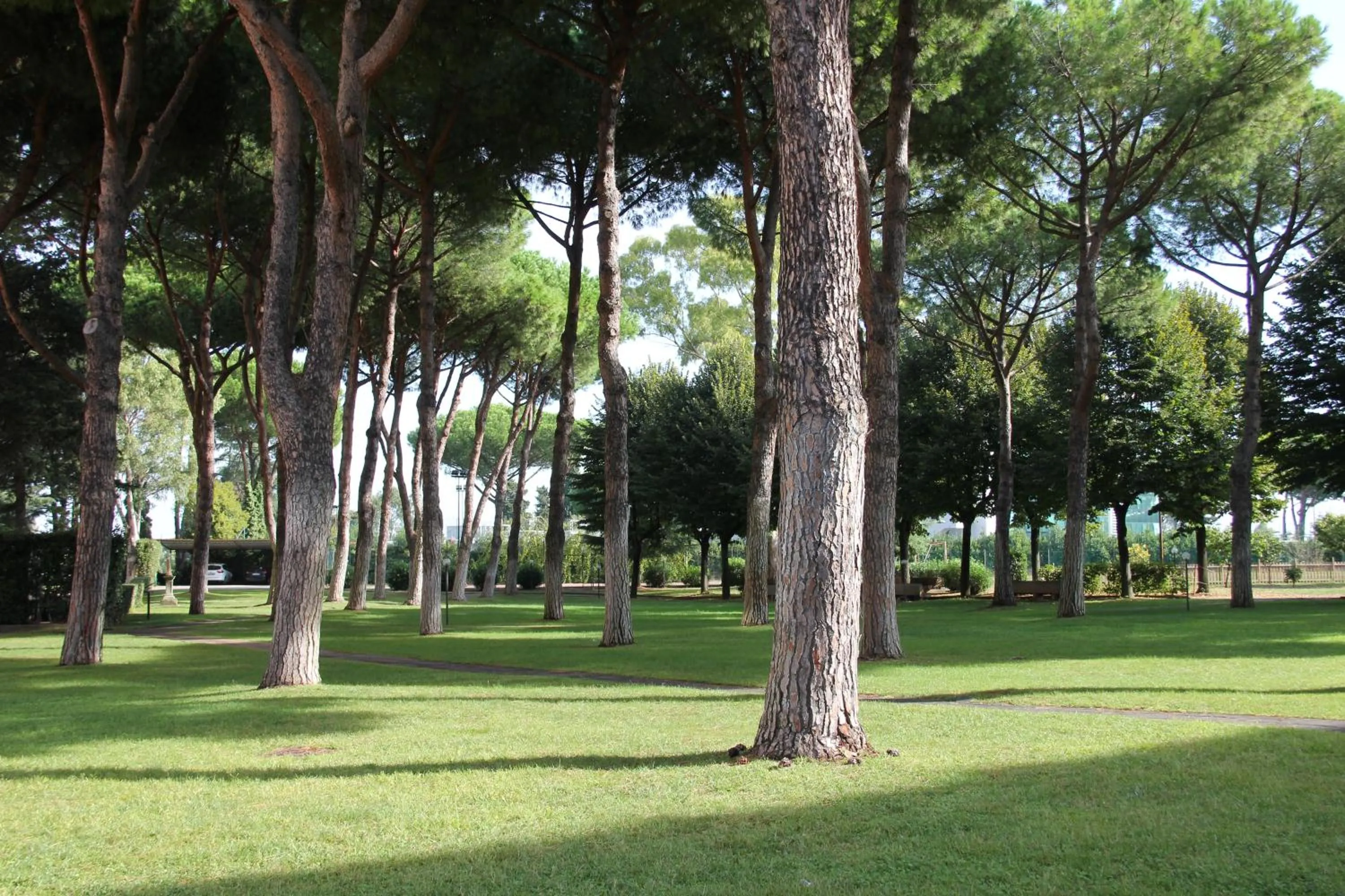 Garden in Serafico Guesthouse