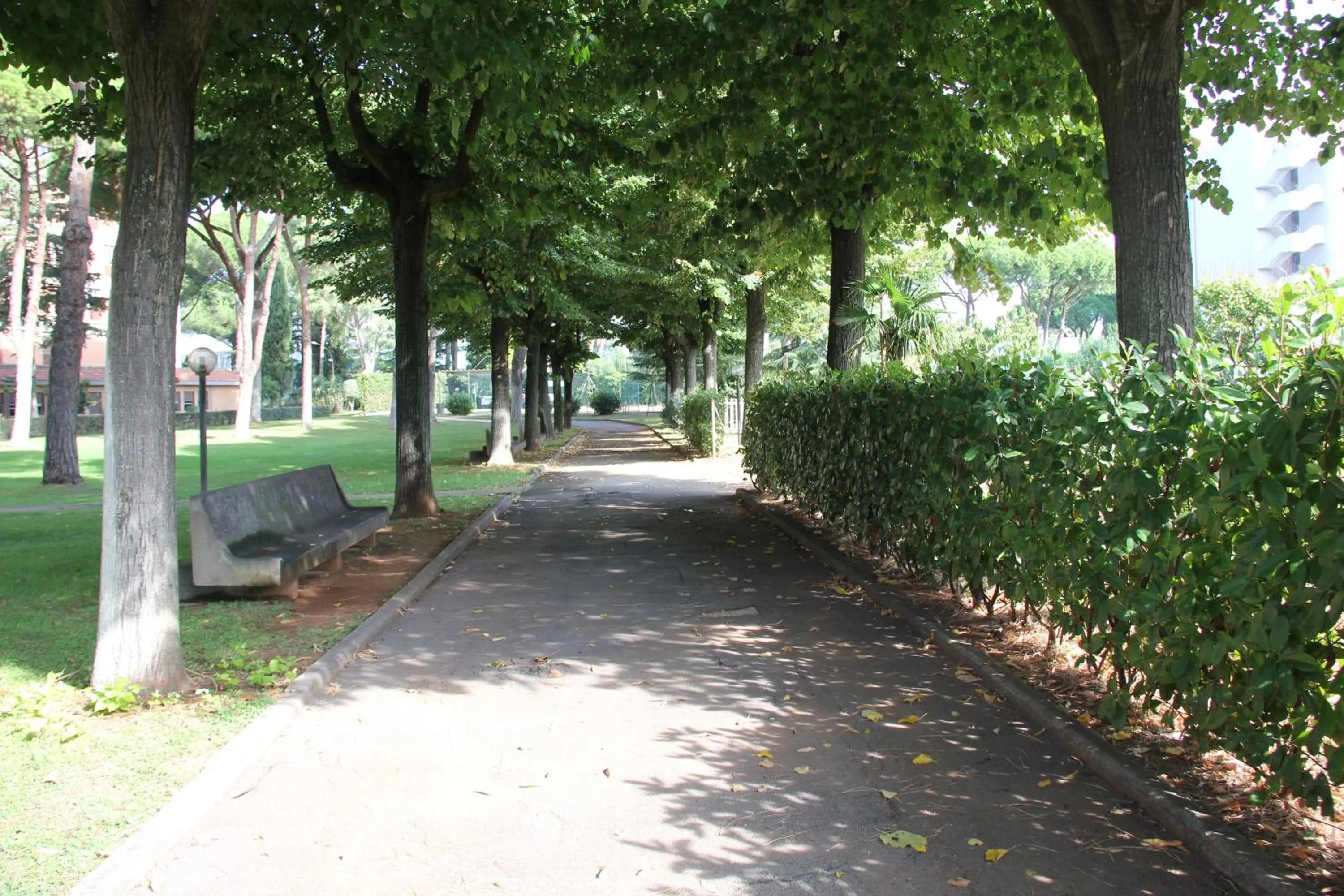 Garden in Serafico Guesthouse