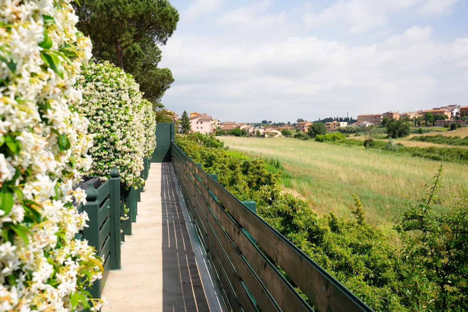 Natural landscape in Tenuta Capizucchi