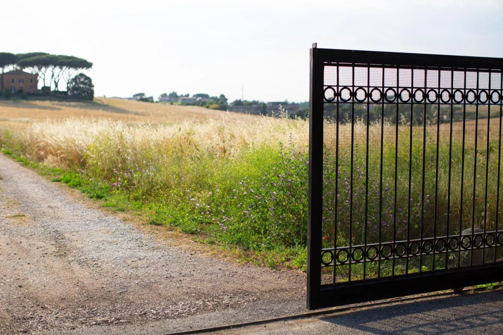 Facade/entrance in Tenuta Capizucchi