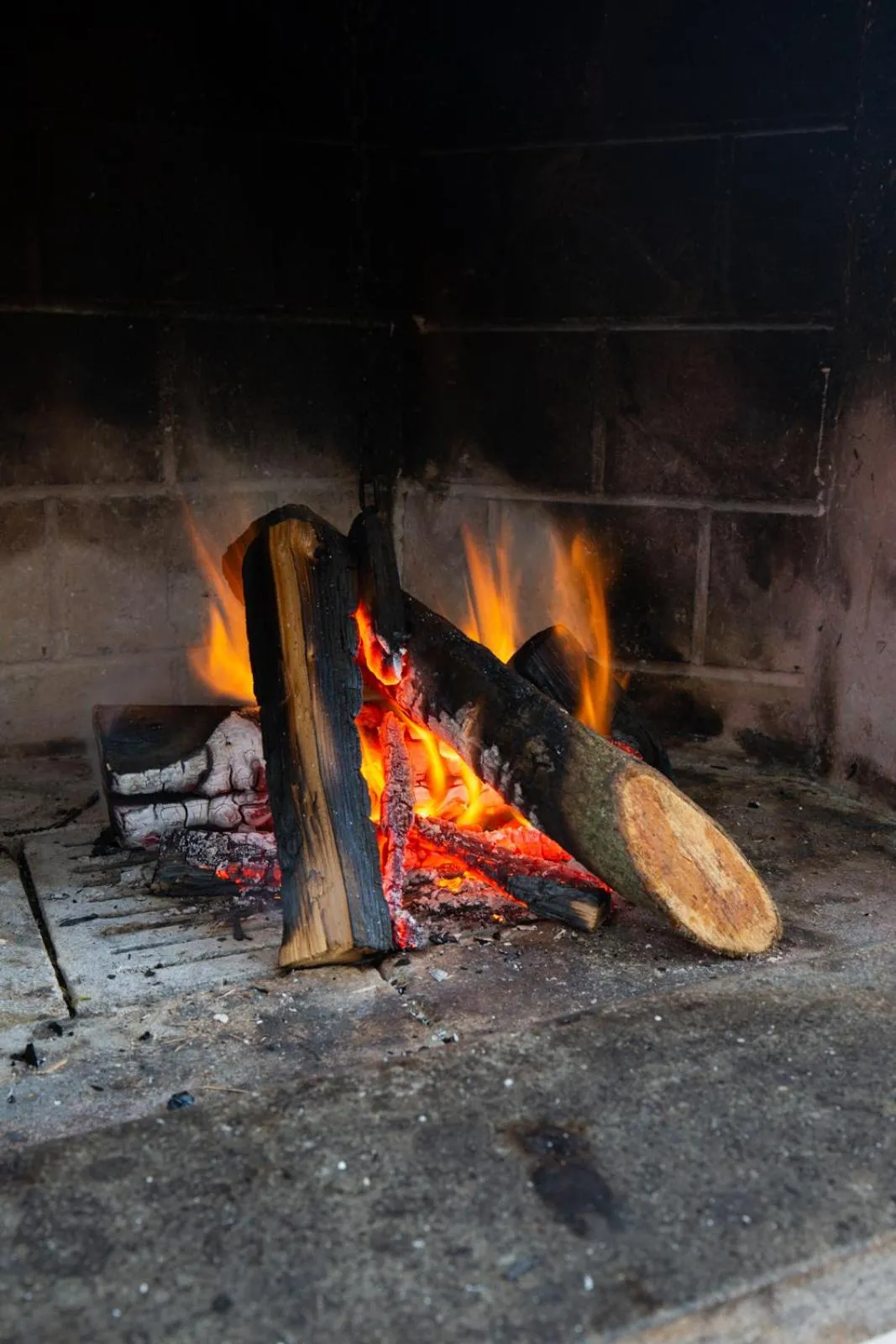 Living room in Tenuta Capizucchi