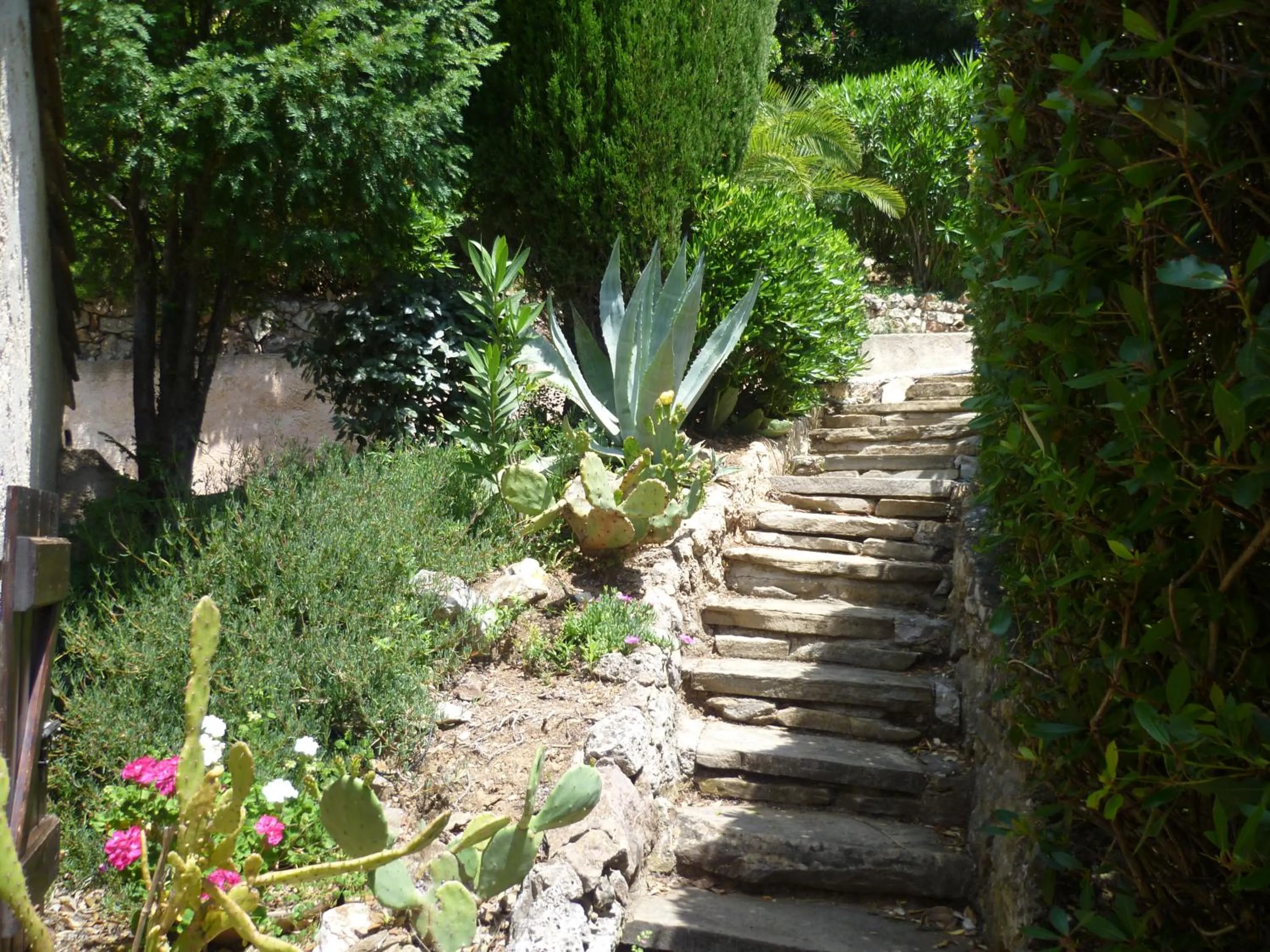 Villa Sans Pareil
