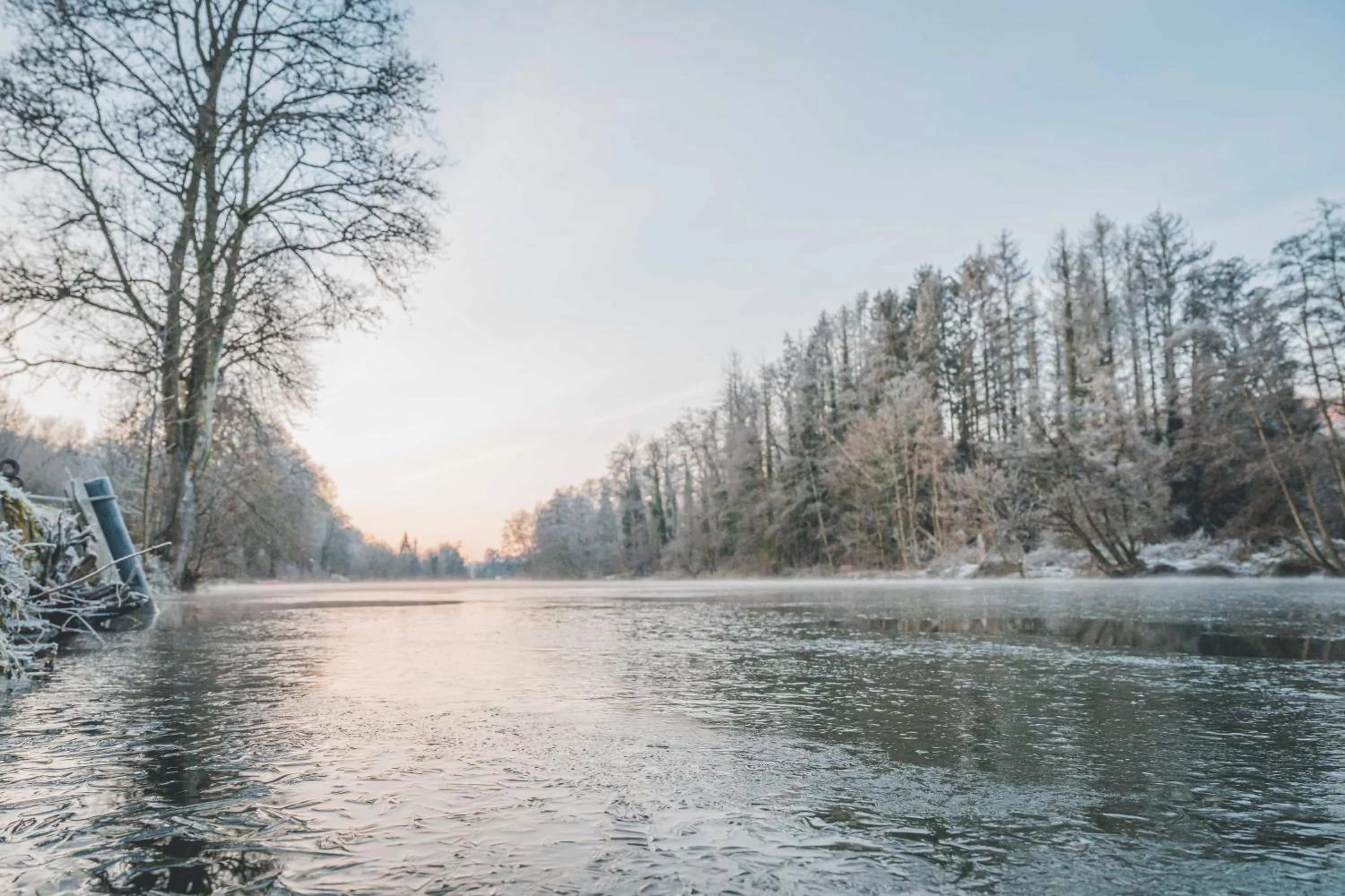 Natural landscape in Les Sorbiers