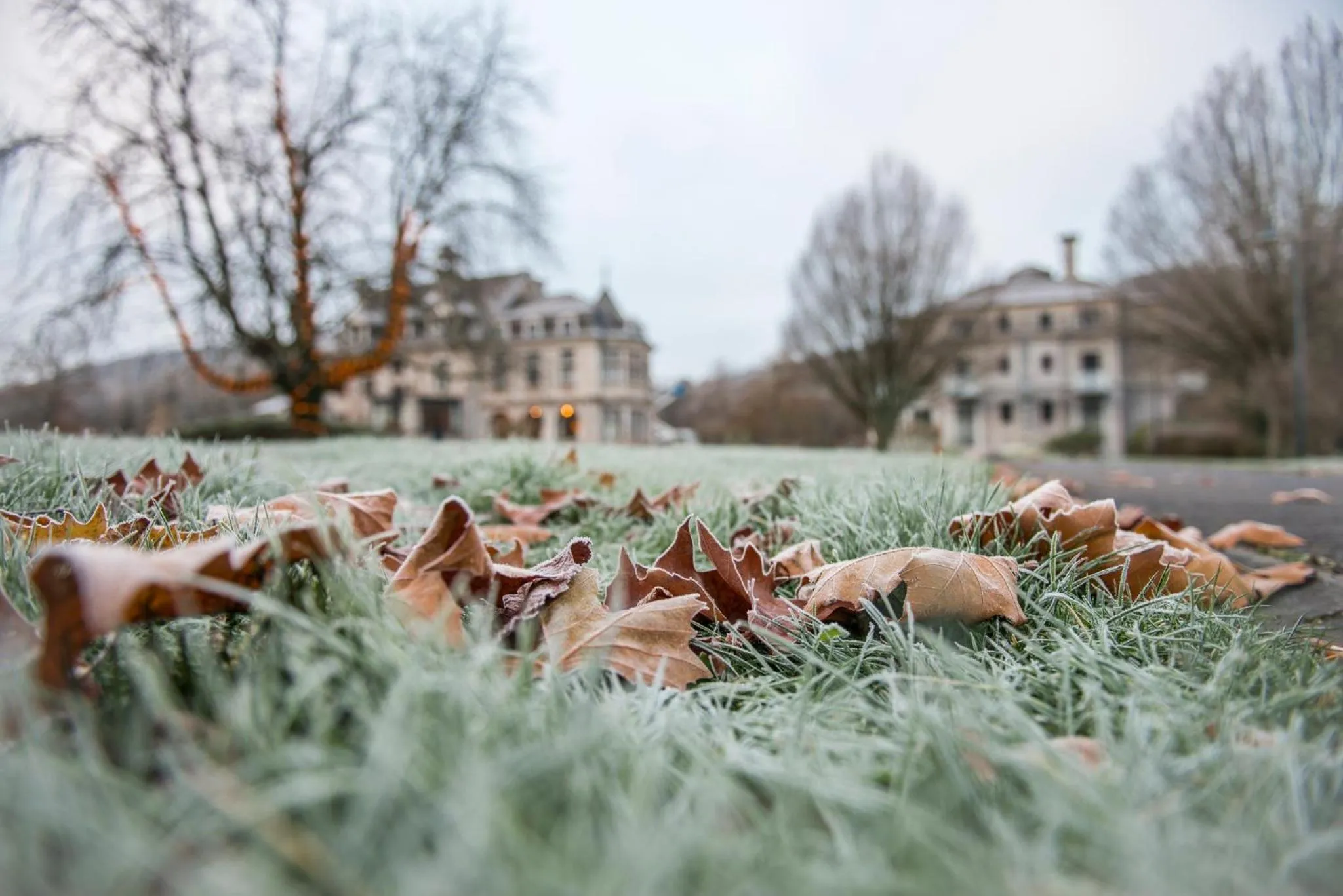 Winter in Les Sorbiers