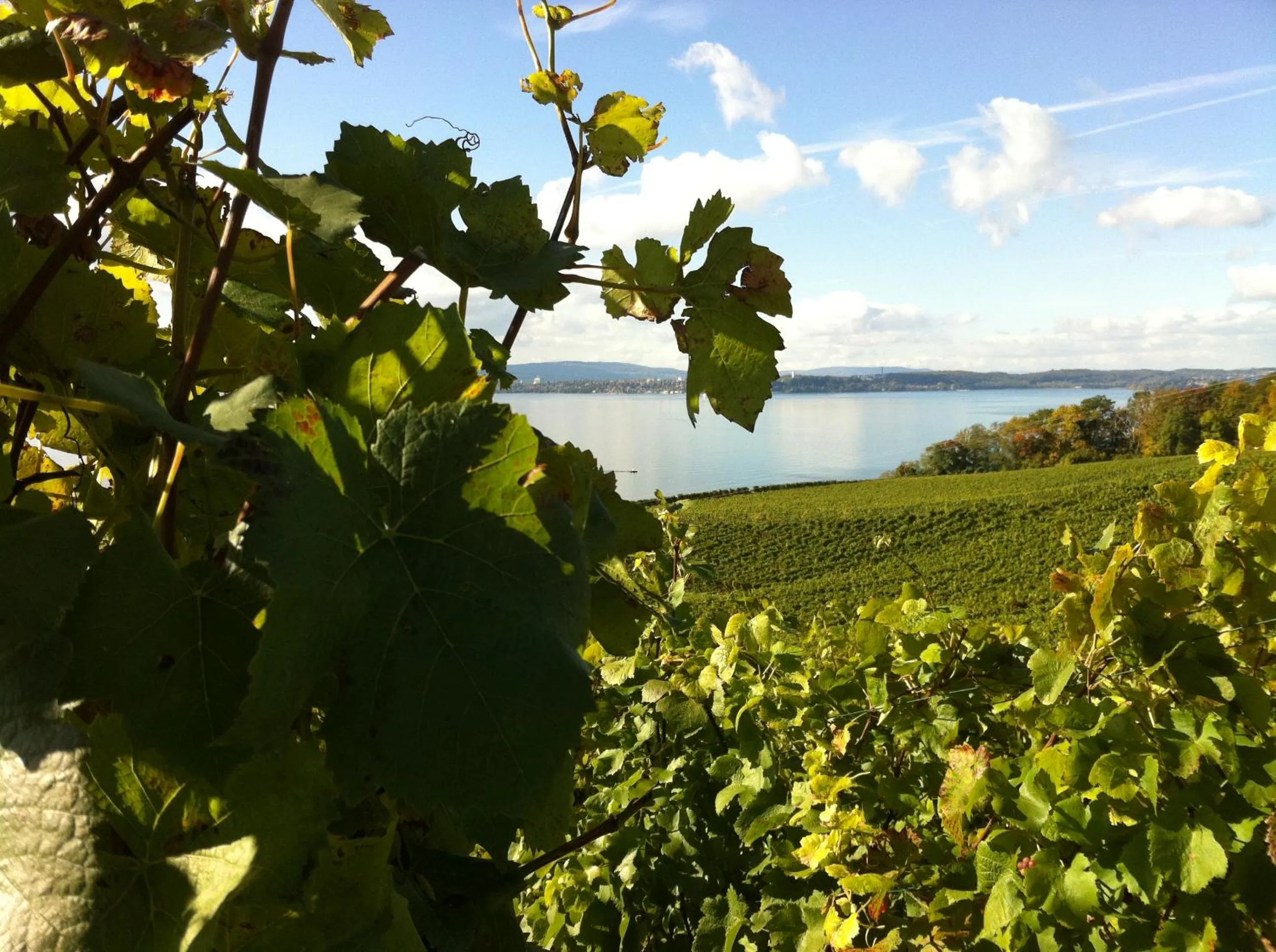 Hiking in Alte Post Meersburg