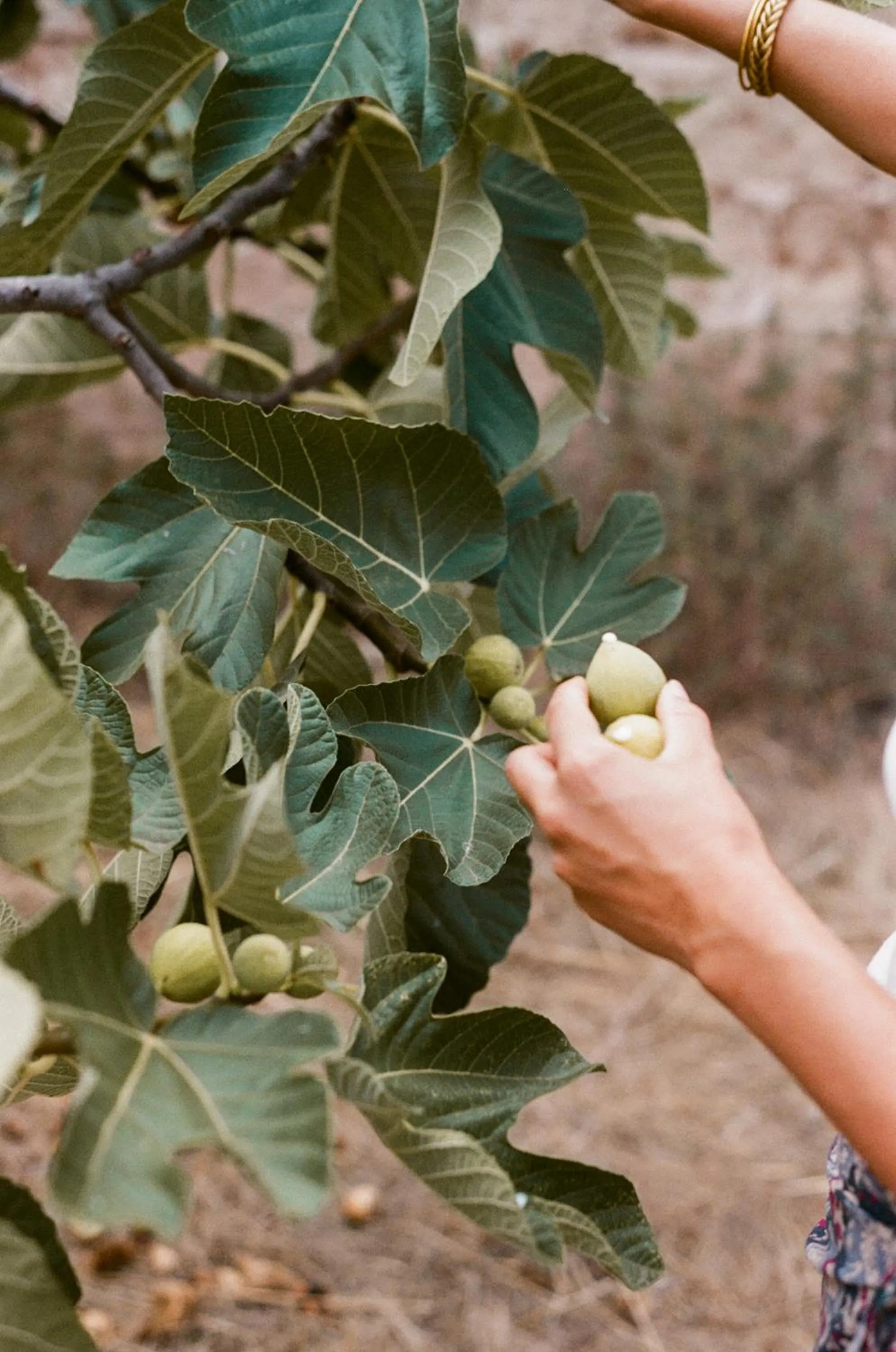 Day in Galeta Masseria