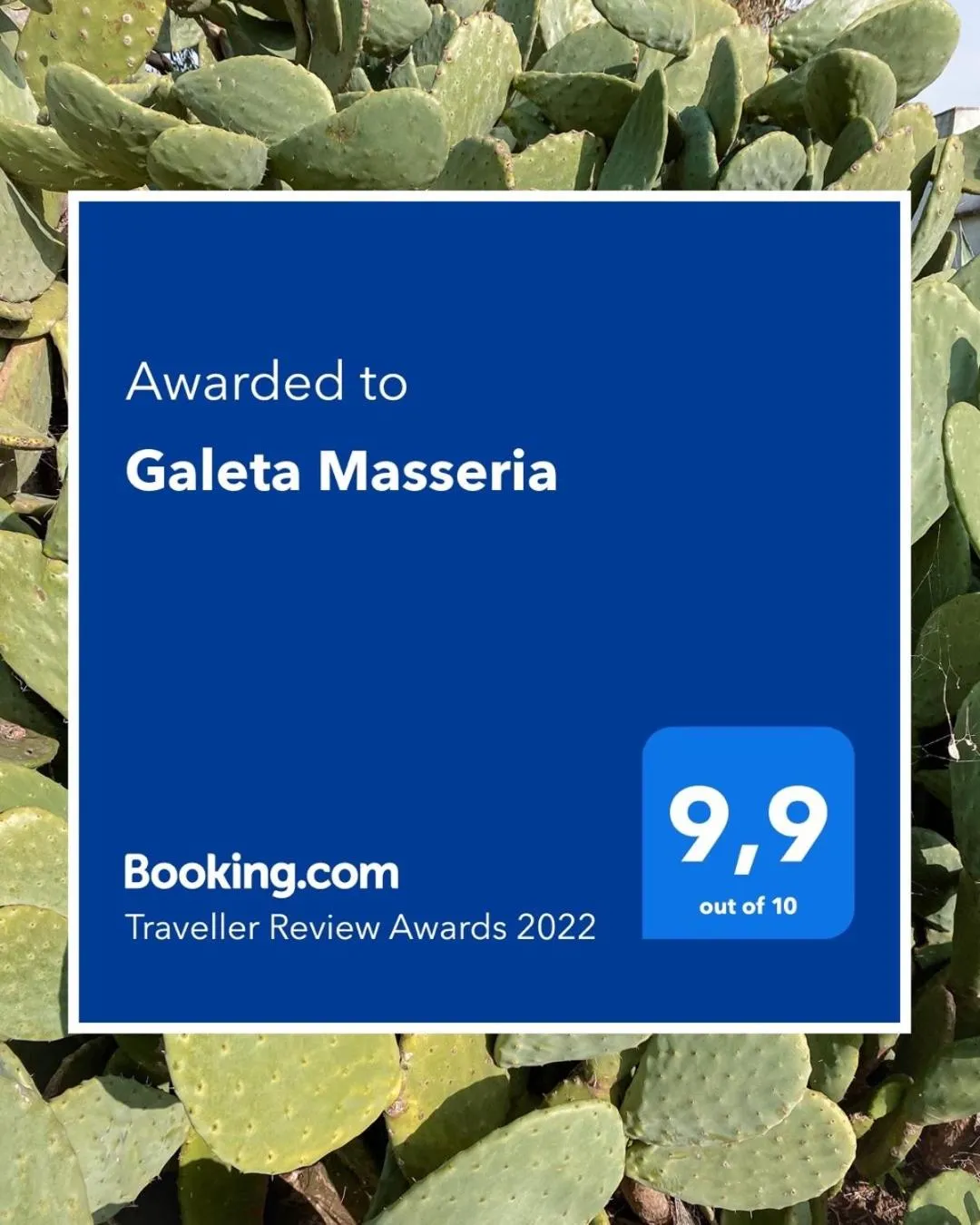 Certificate/Award in Galeta Masseria