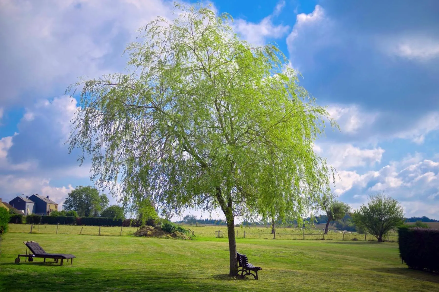 Garden in Hotel & Restaurant Maison Pal'Ange