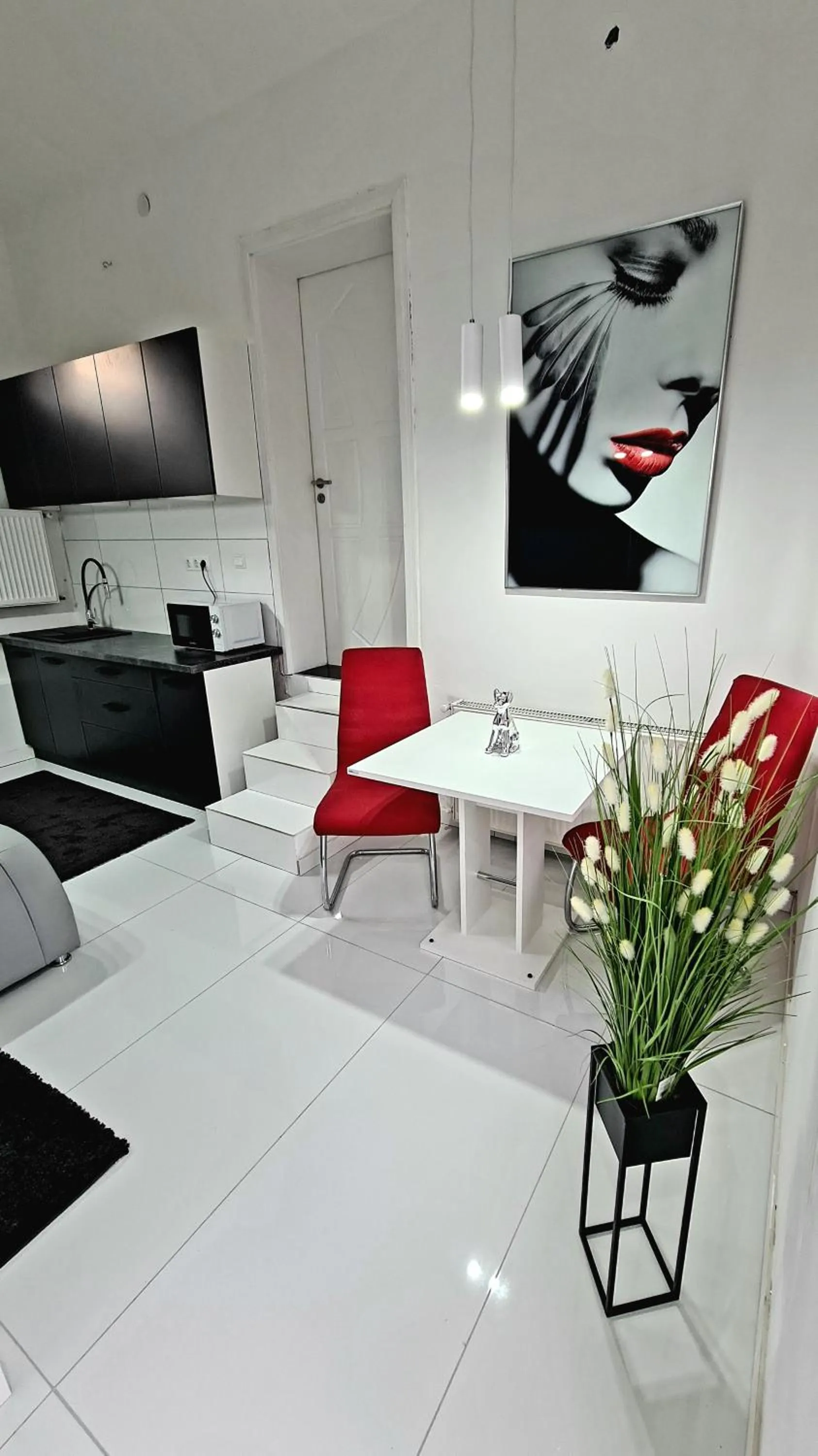 Kitchen or kitchenette in Airport Luxury Apartman 42
