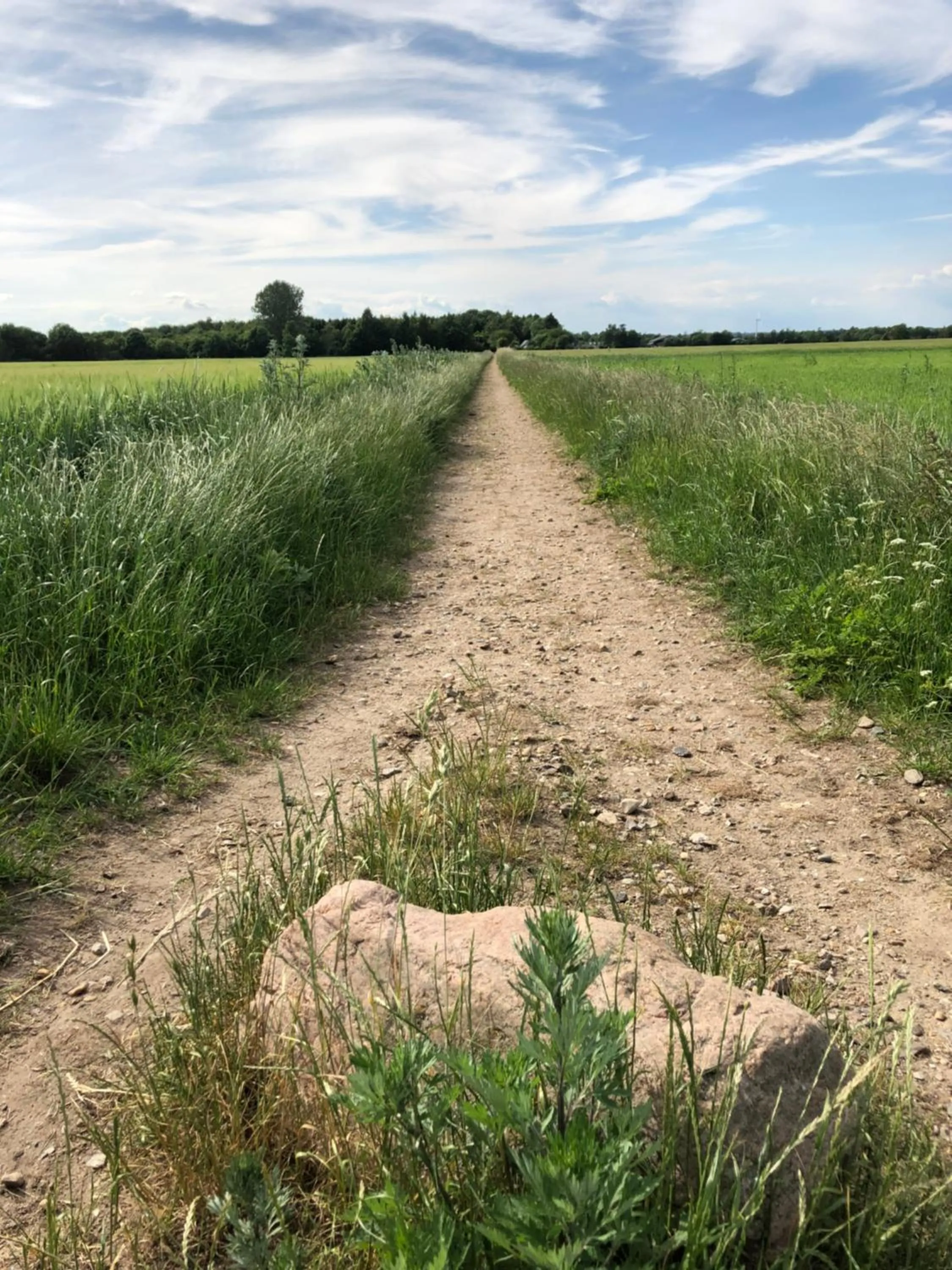 Natural landscape in Karensdal B & B