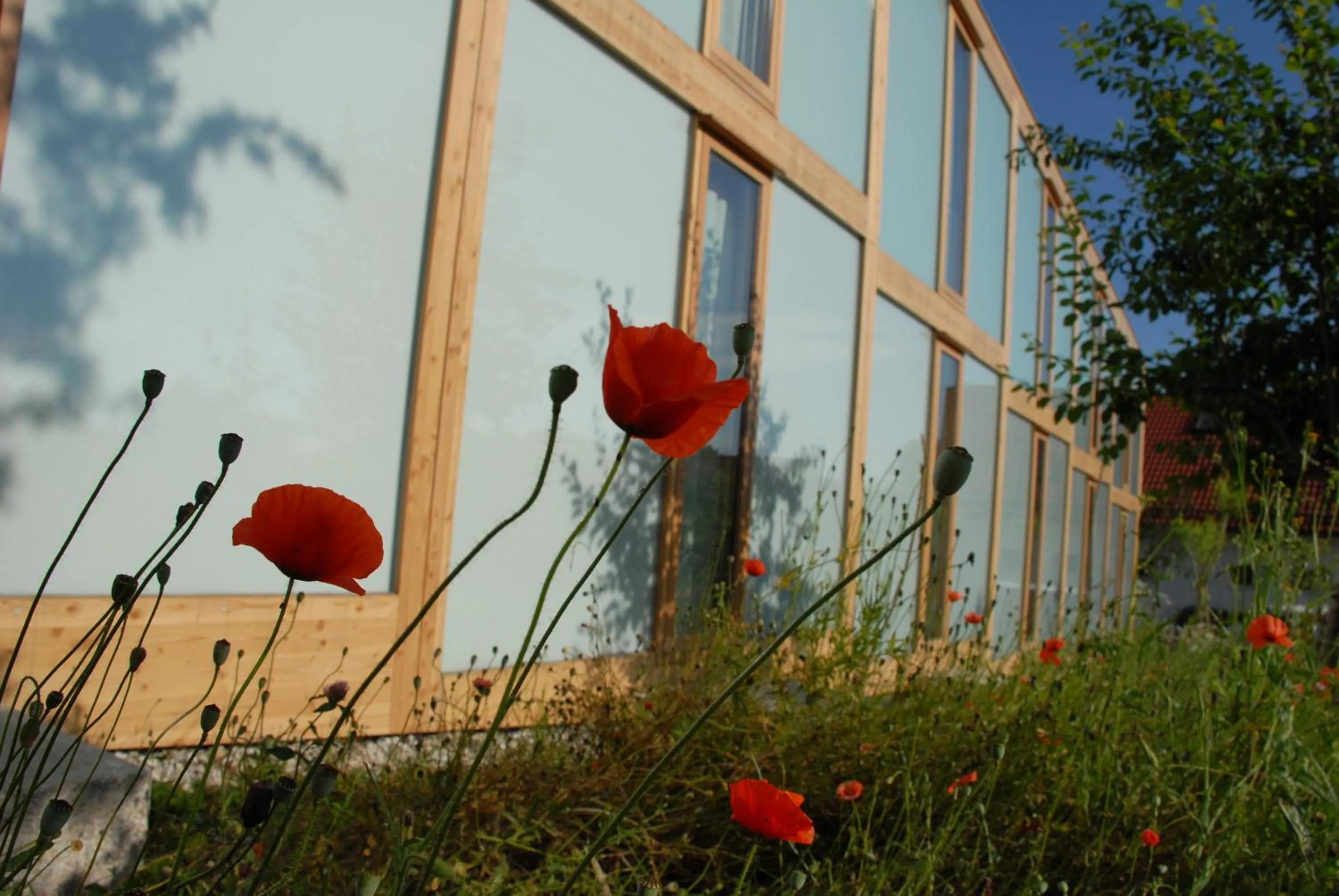 Balcony/Terrace in Hörger Biohotel und Tafernwirtschaft