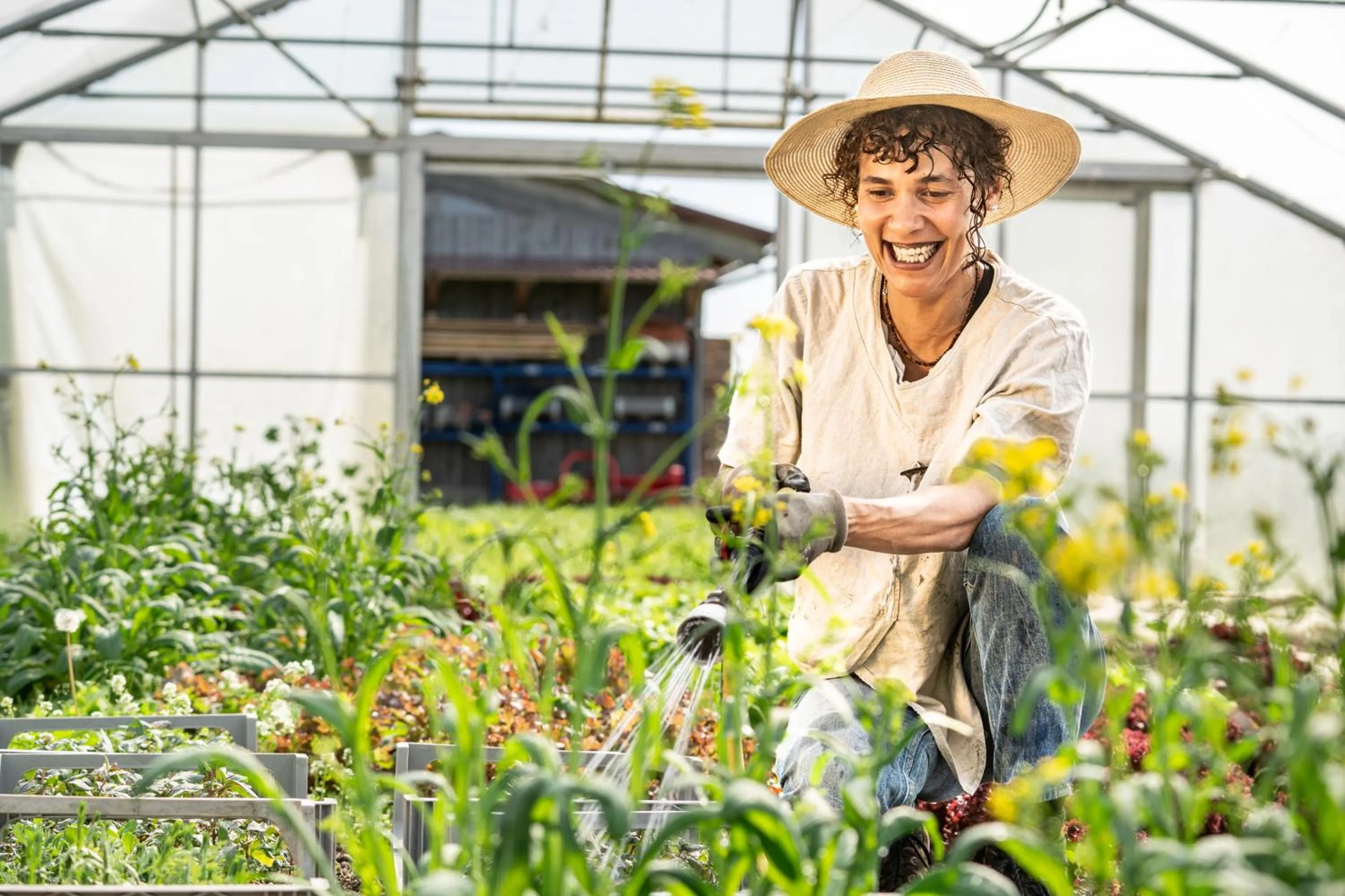 Restaurant/places to eat in Hörger Biohotel und Tafernwirtschaft