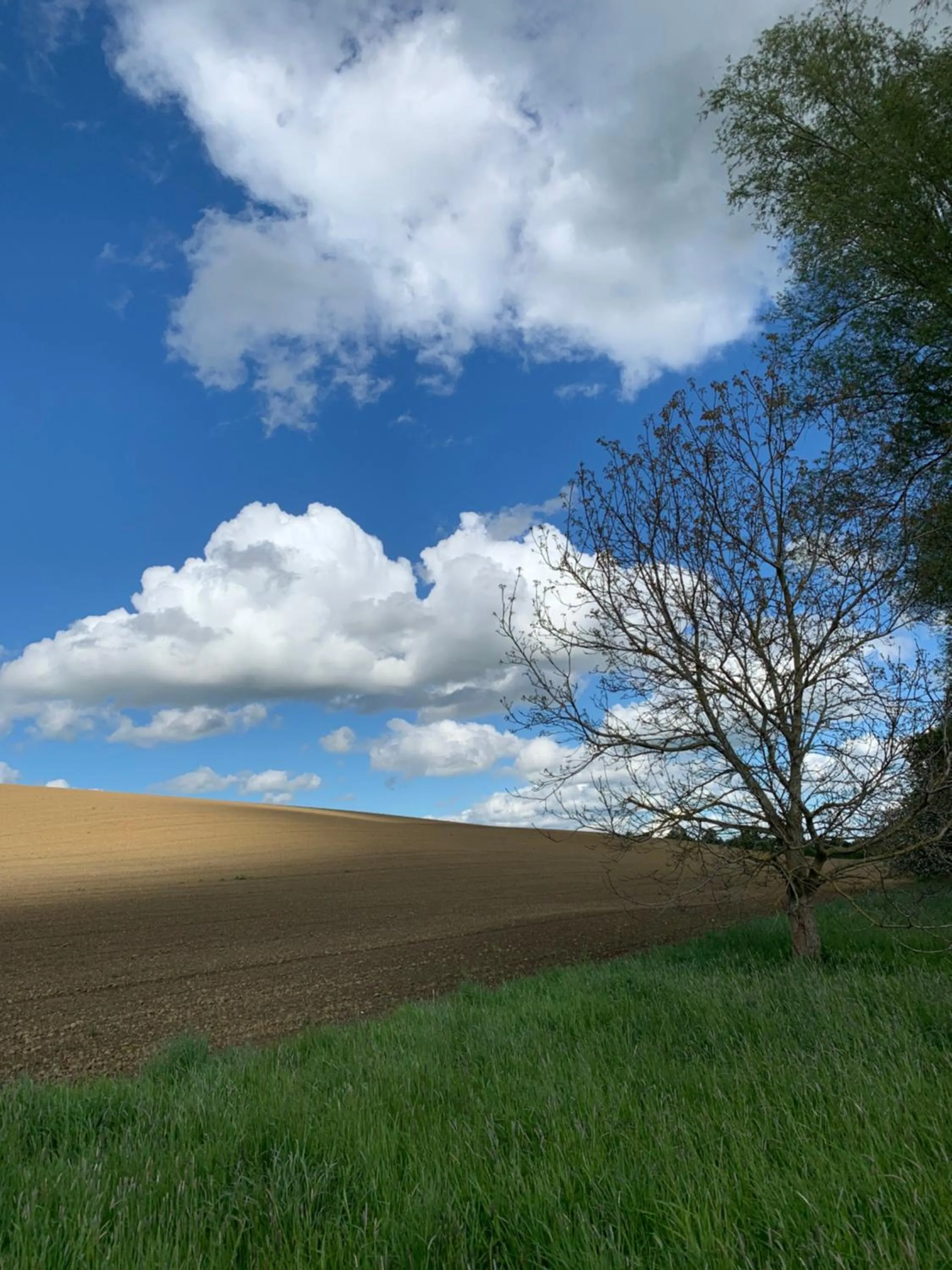 Hörger Biohotel und Tafernwirtschaft