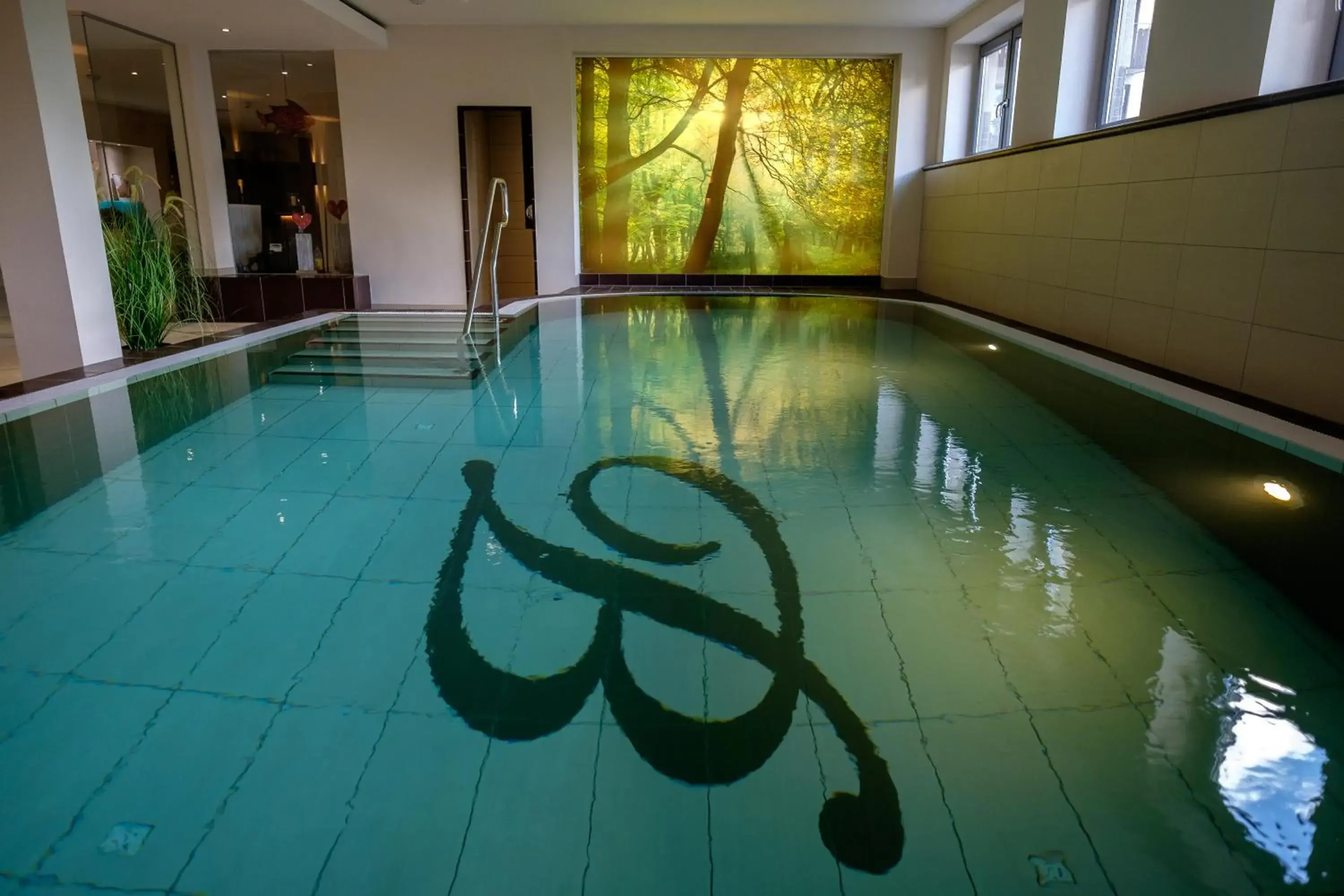 Spa and wellness centre/facilities, Swimming Pool in Walpurgishof