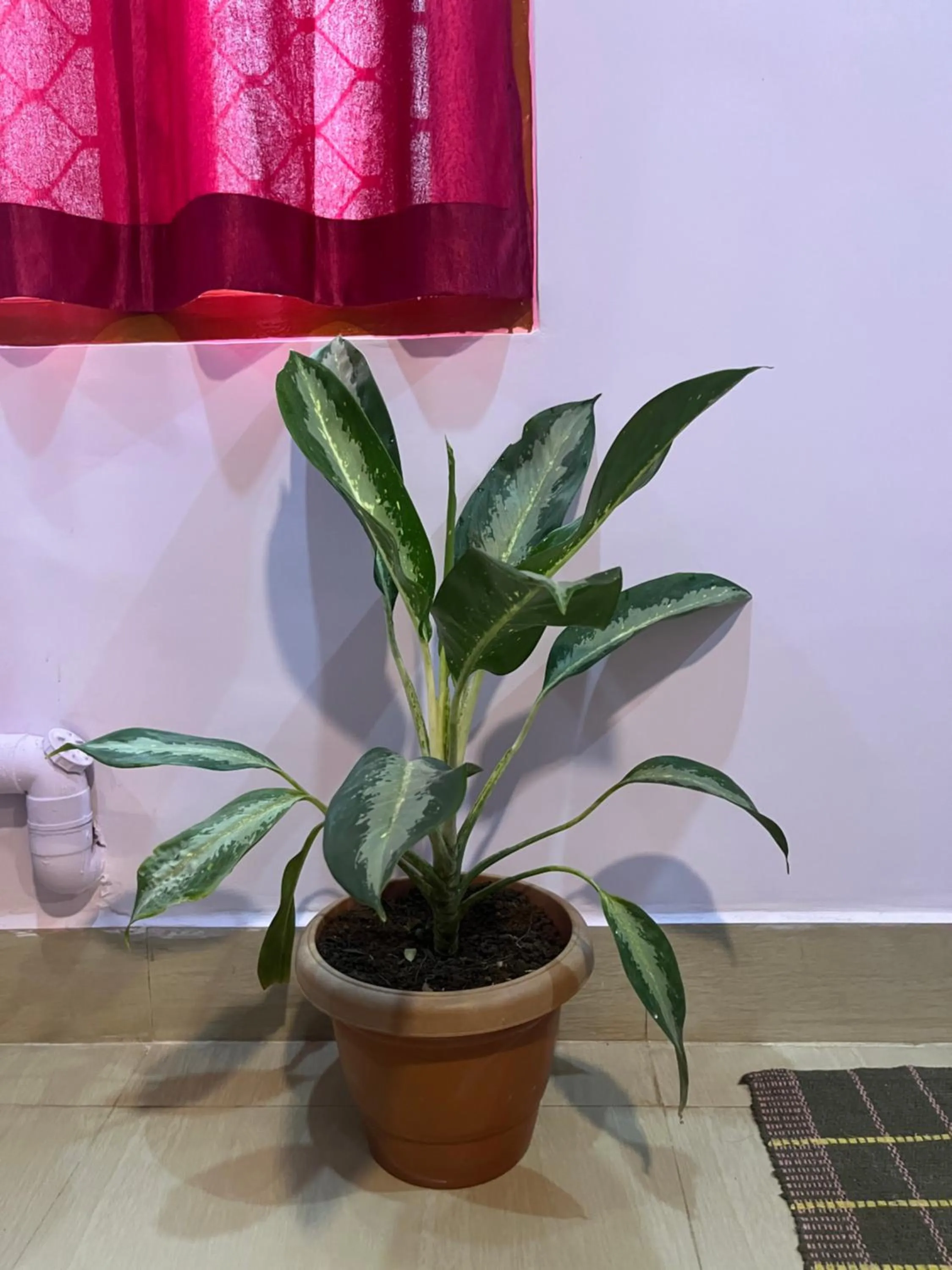 Bedroom in Purnima Resort Neil Island