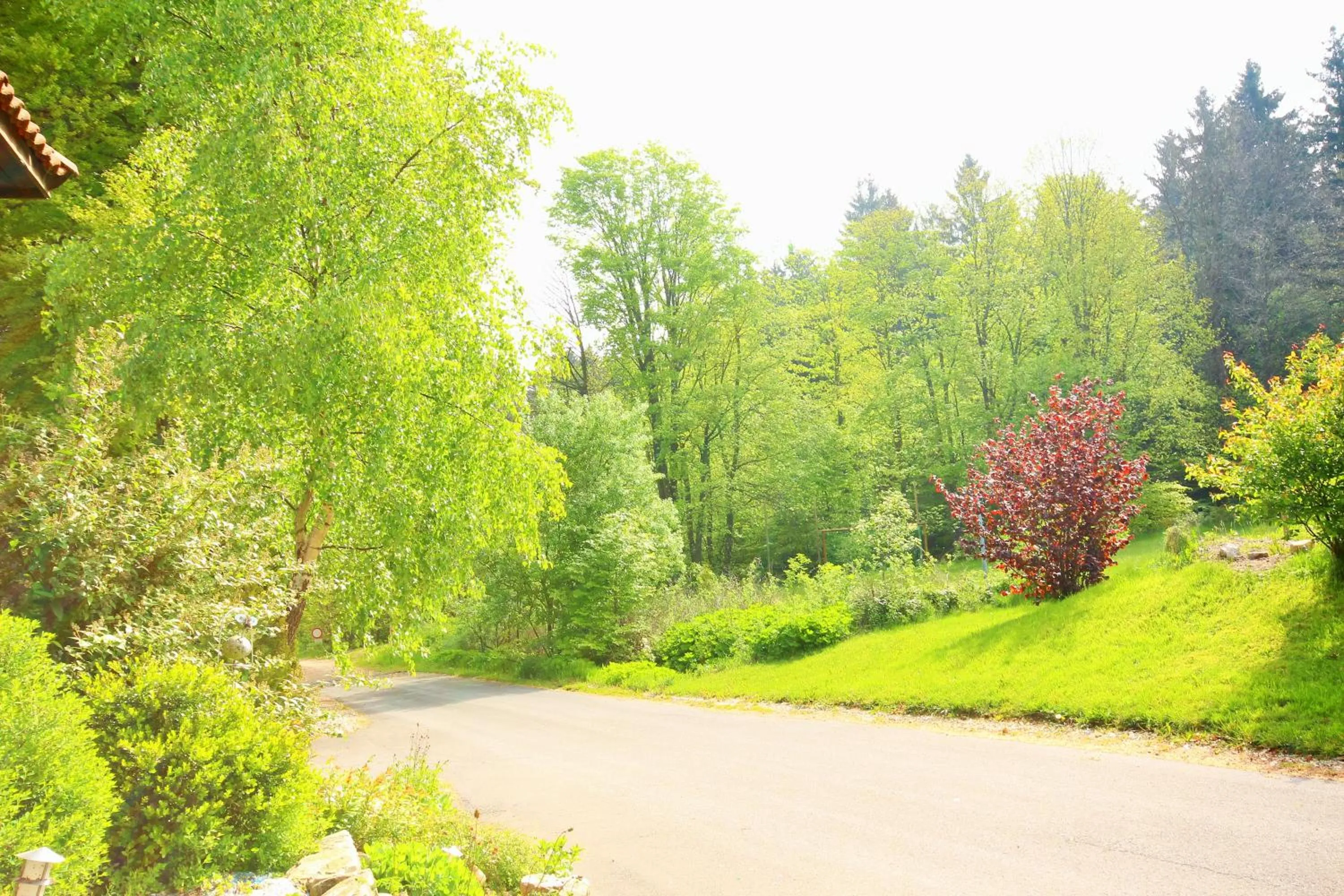 Natural landscape in Waldgasthaus am Schwarzenbruch