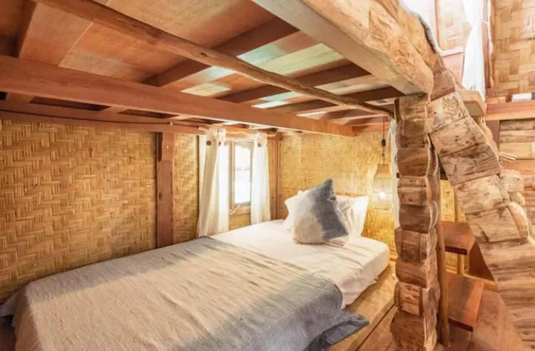 Bed in Roots Tree House