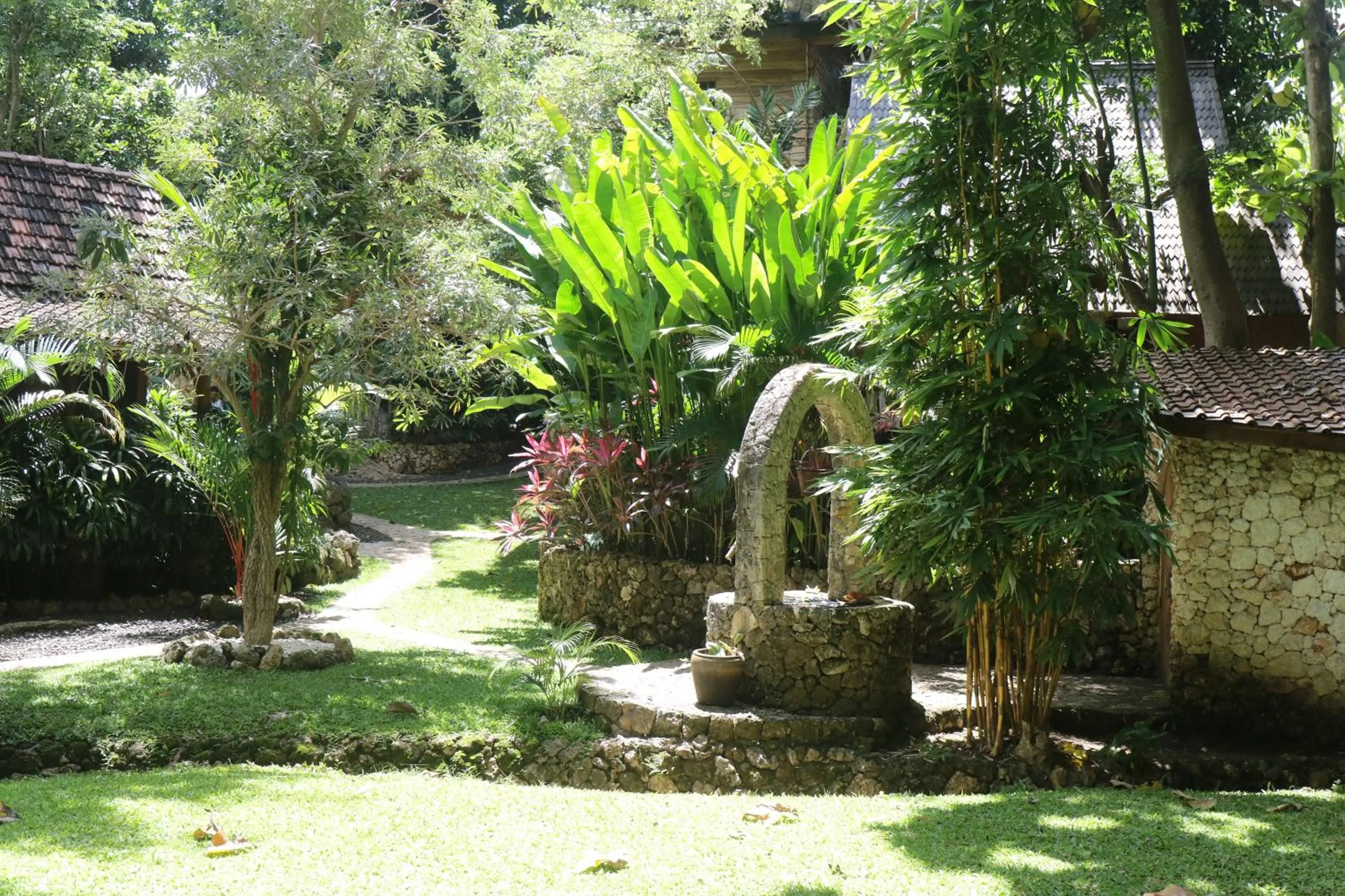 Property building in Roots Tree House
