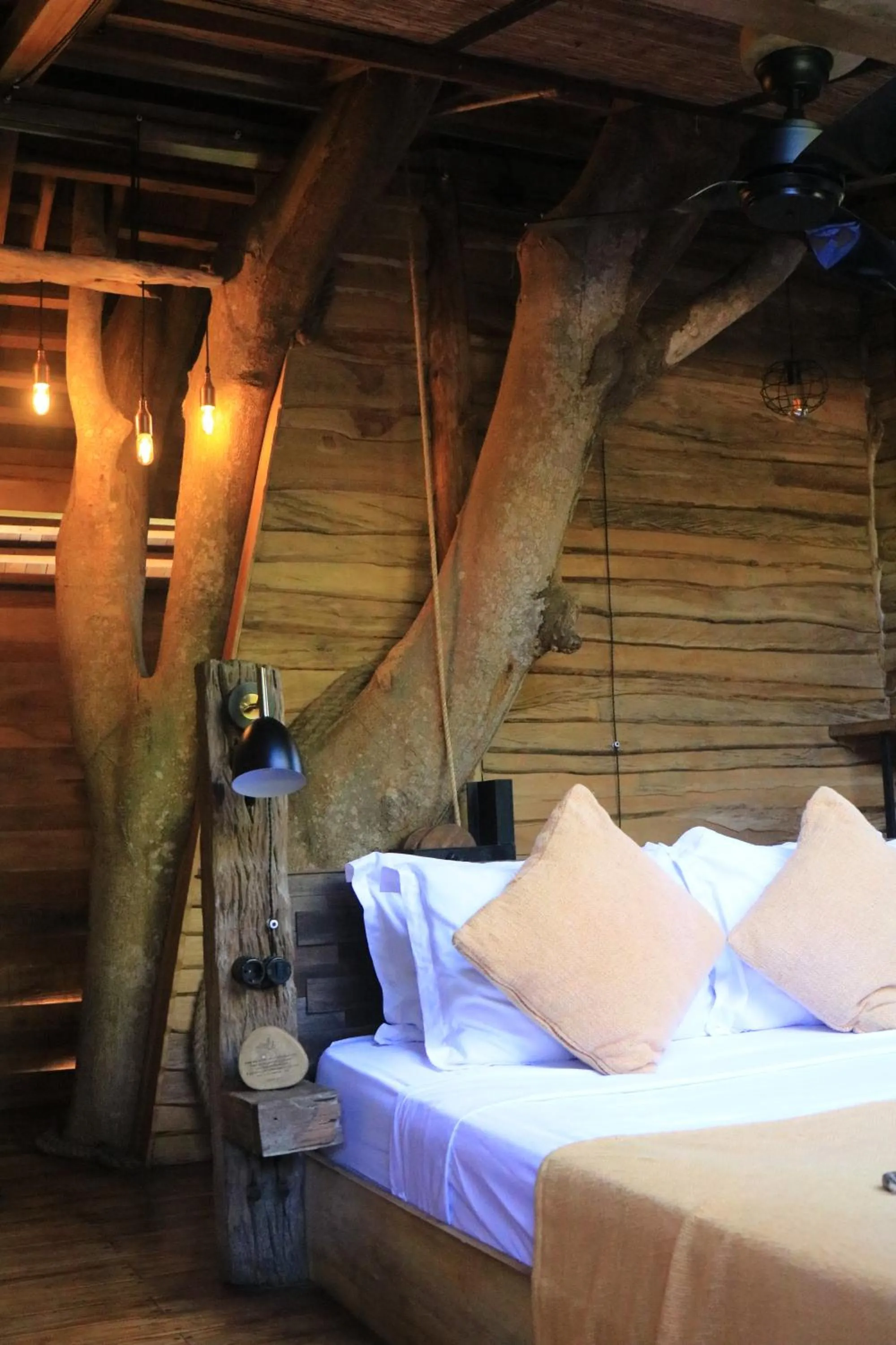 Bed in Roots Tree House